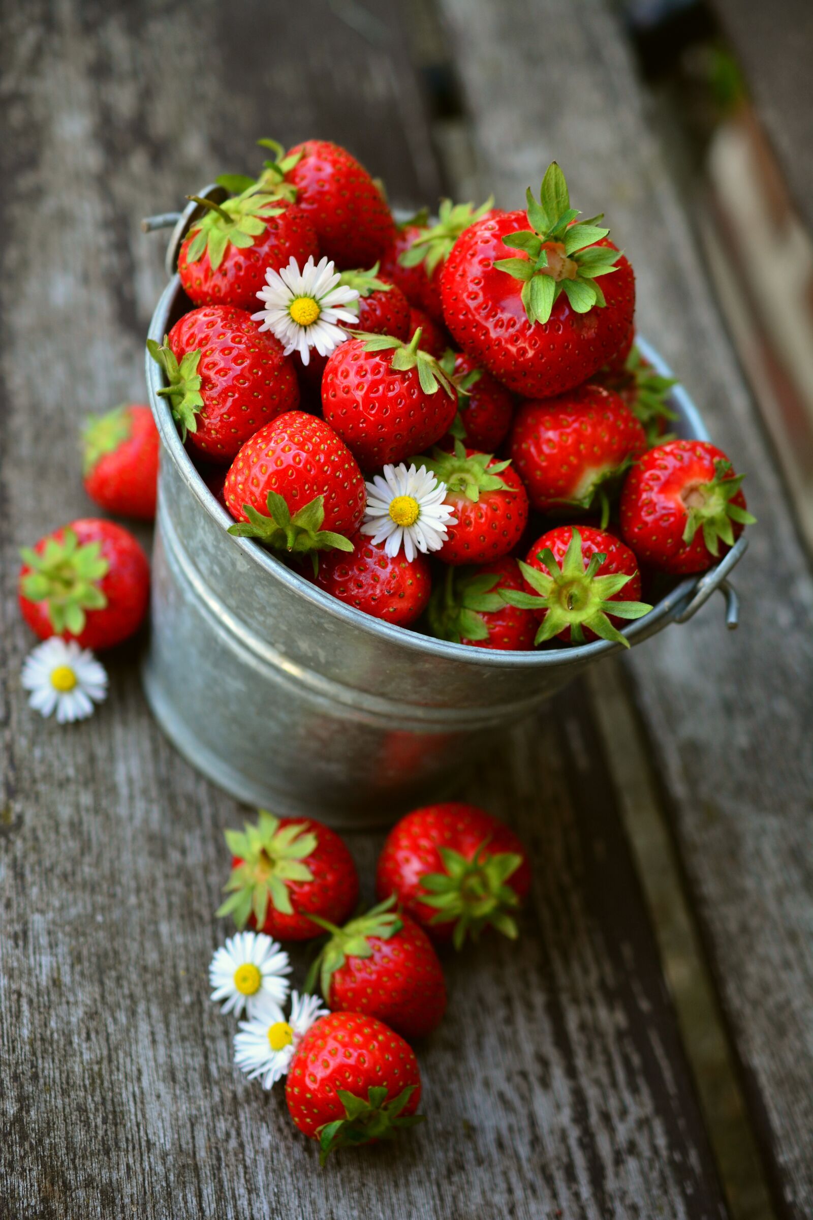 Nikon D5200 sample photo. Strawberries, fruit, delicious photography