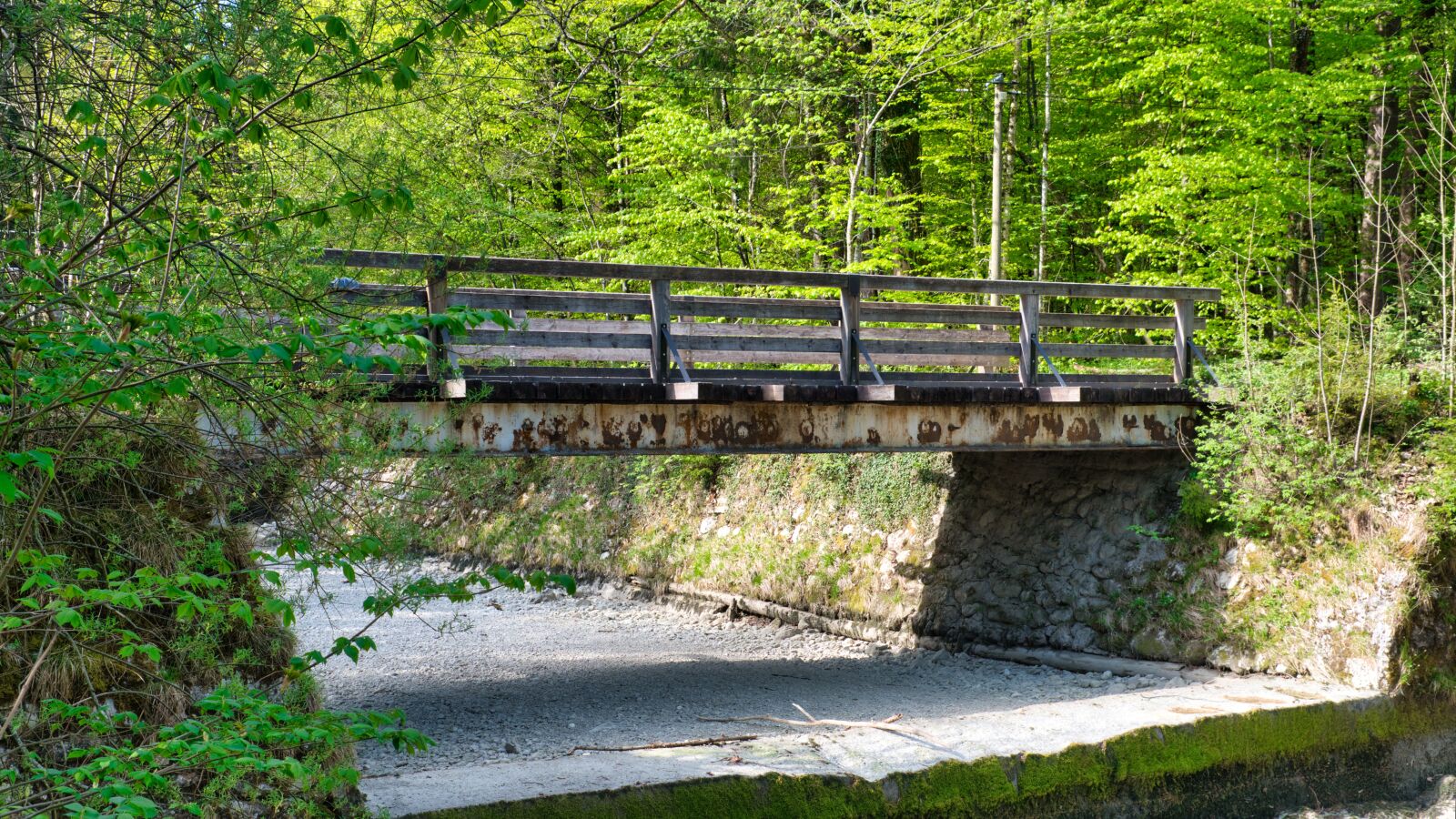 Nikon D7500 sample photo. Bridge, transition, connection photography