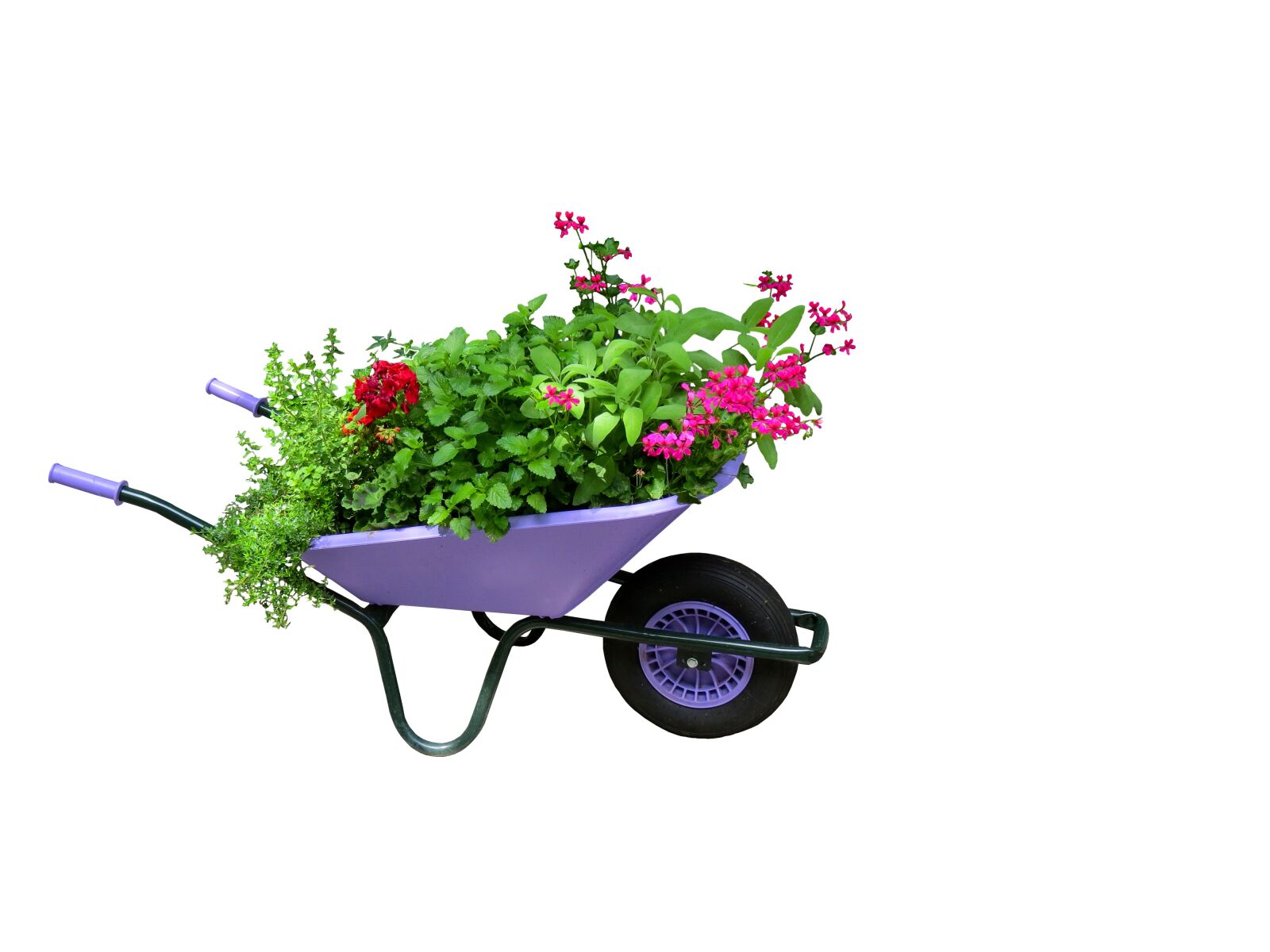 Canon PowerShot SX50 HS sample photo. Flowers, garden, wheelbarrow photography