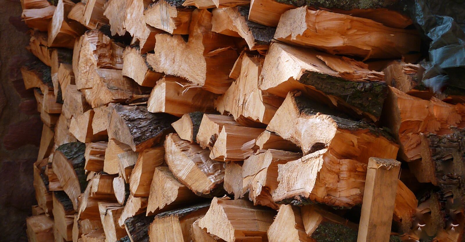 Panasonic DMC-TZ7 sample photo. Wood, firewood, holzstapel photography
