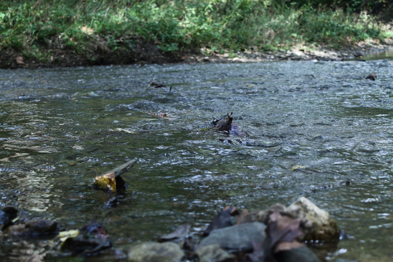 Canon EOS 1100D (EOS Rebel T3 / EOS Kiss X50) sample photo. Stream, river, water photography