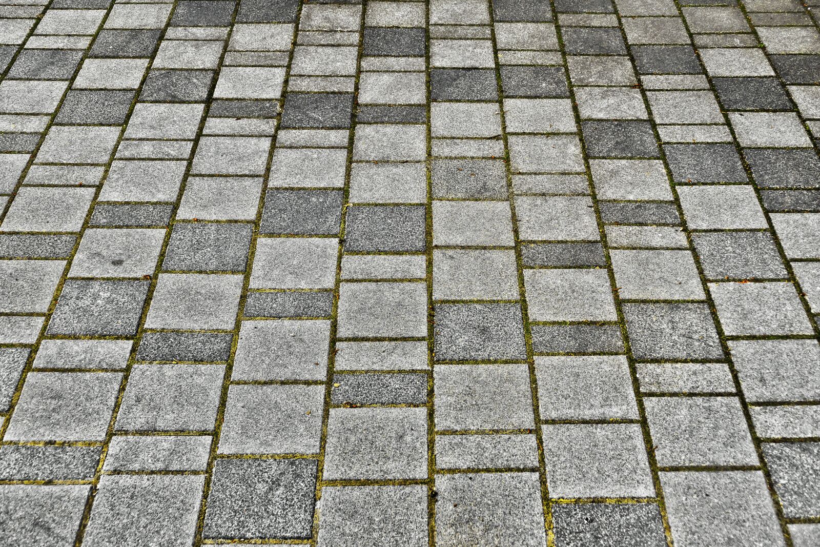 Panasonic Lumix DMC-FZ1000 sample photo. Patch, flooring, paving stones photography