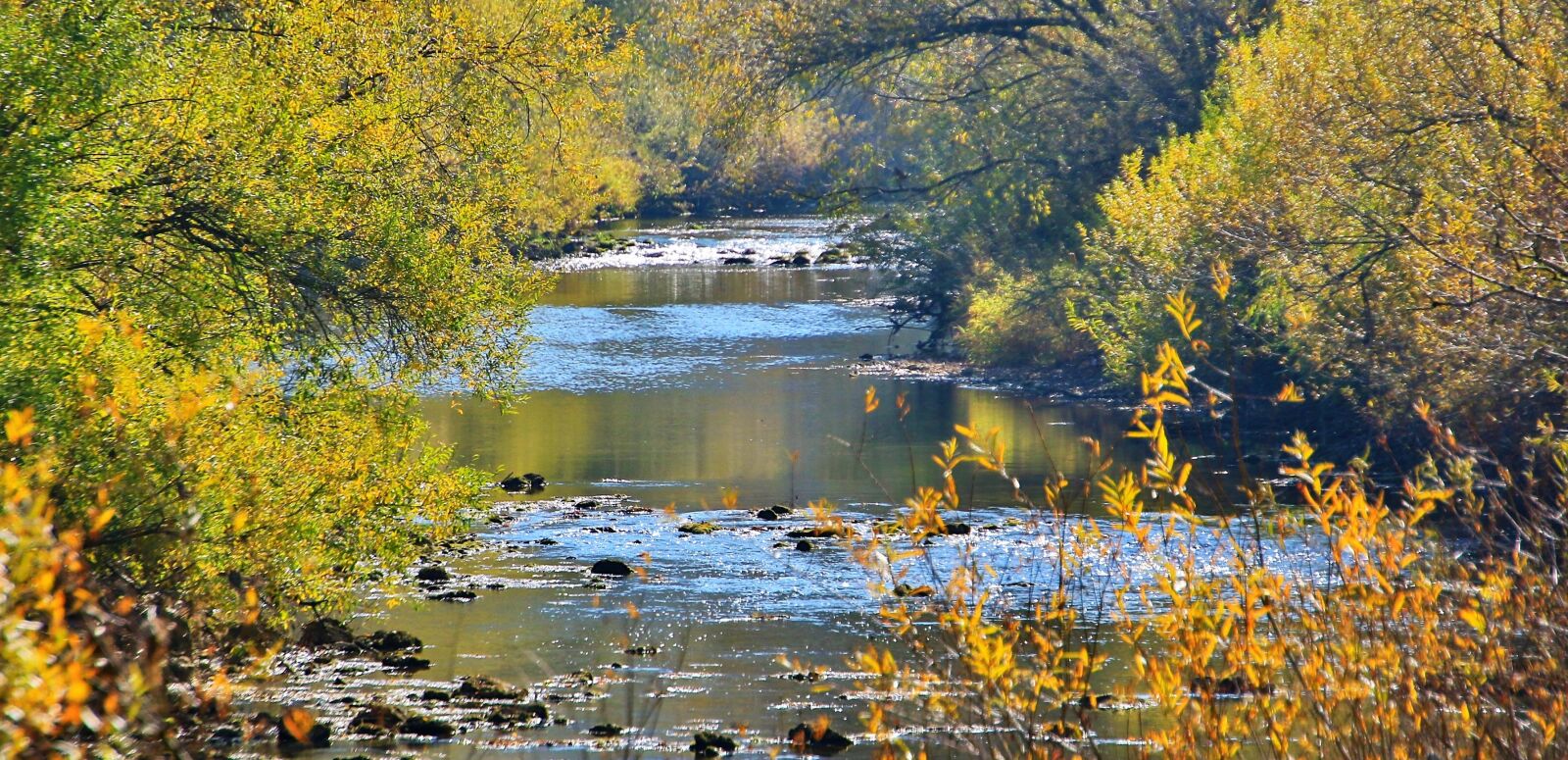 Canon EOS 7D Mark II sample photo. Autumn, river, danube photography