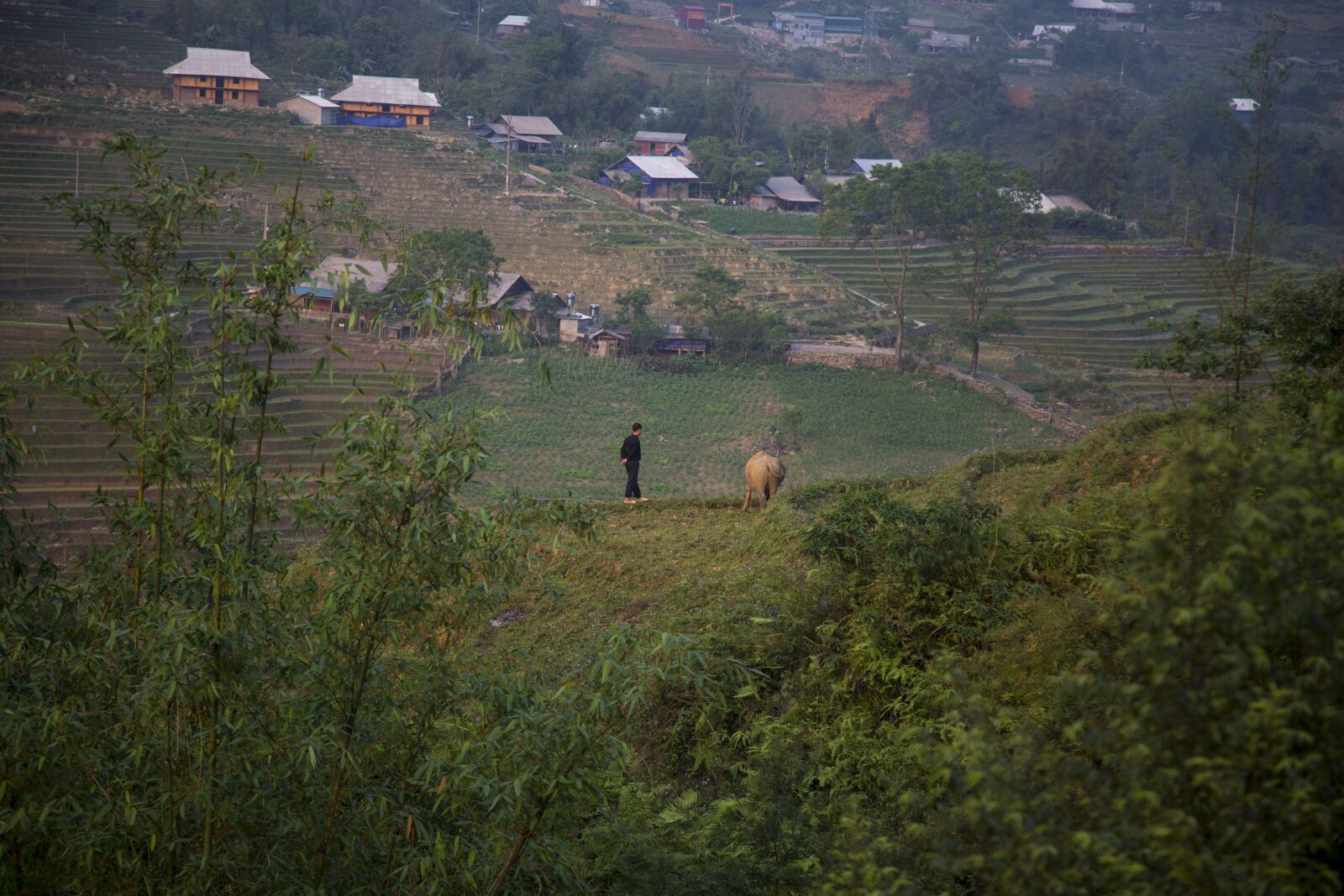 Canon EF 24-105mm F4L IS USM sample photo. Viet nam, sa pa photography