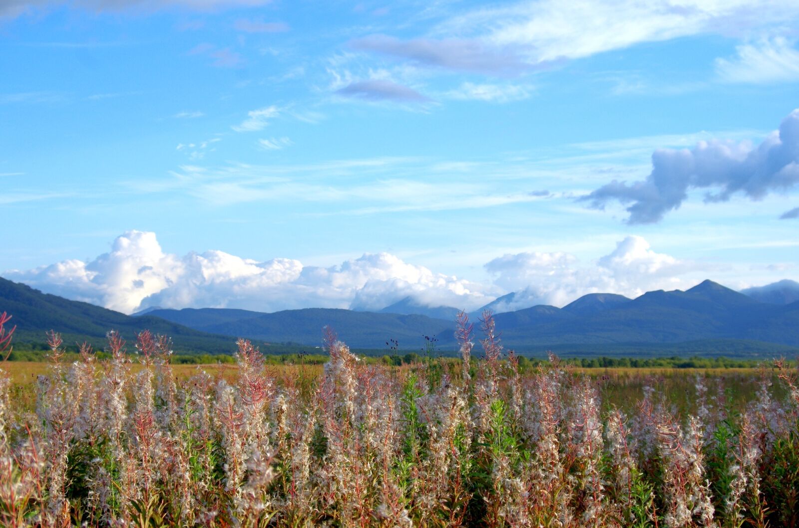 Pentax K-5 sample photo. Mountains, evening, summer landscape photography