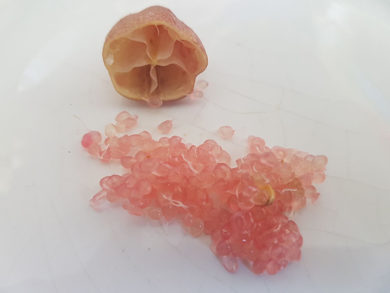 Samsung Galaxy S7 sample photo. Citrus, caviar, pink photography