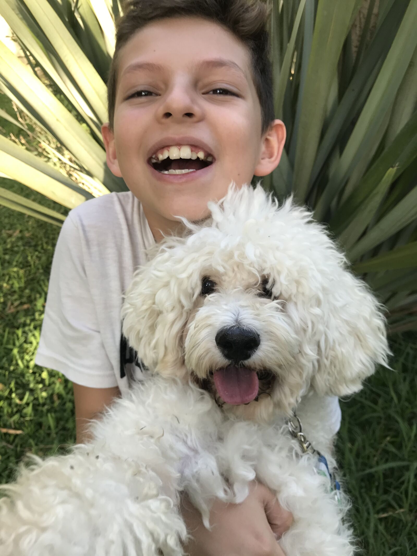 iPhone 7 back camera 3.99mm f/1.8 sample photo. Kid, pet, dog photography