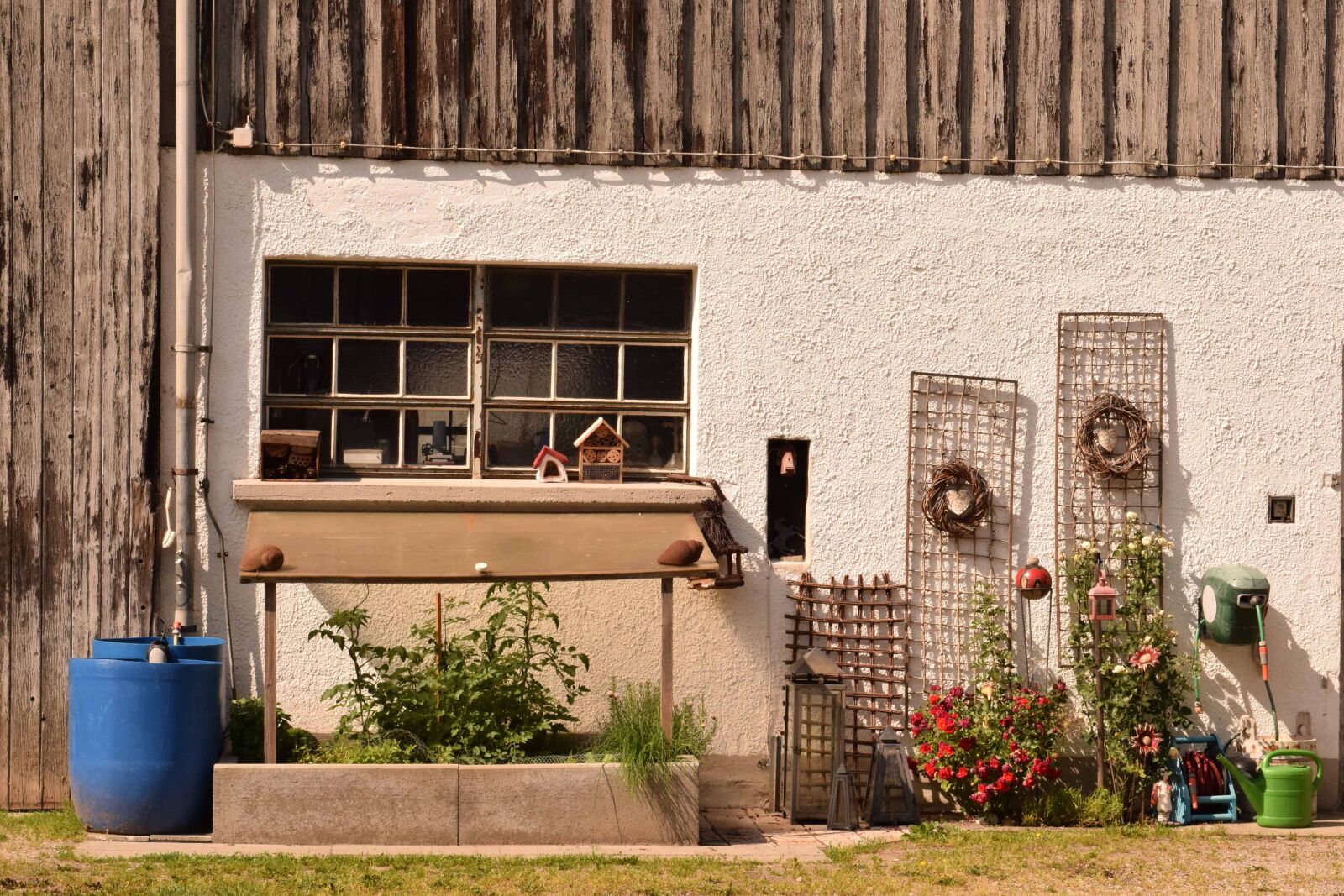 Nikon D3300 sample photo. Window, house, facade, backyard photography