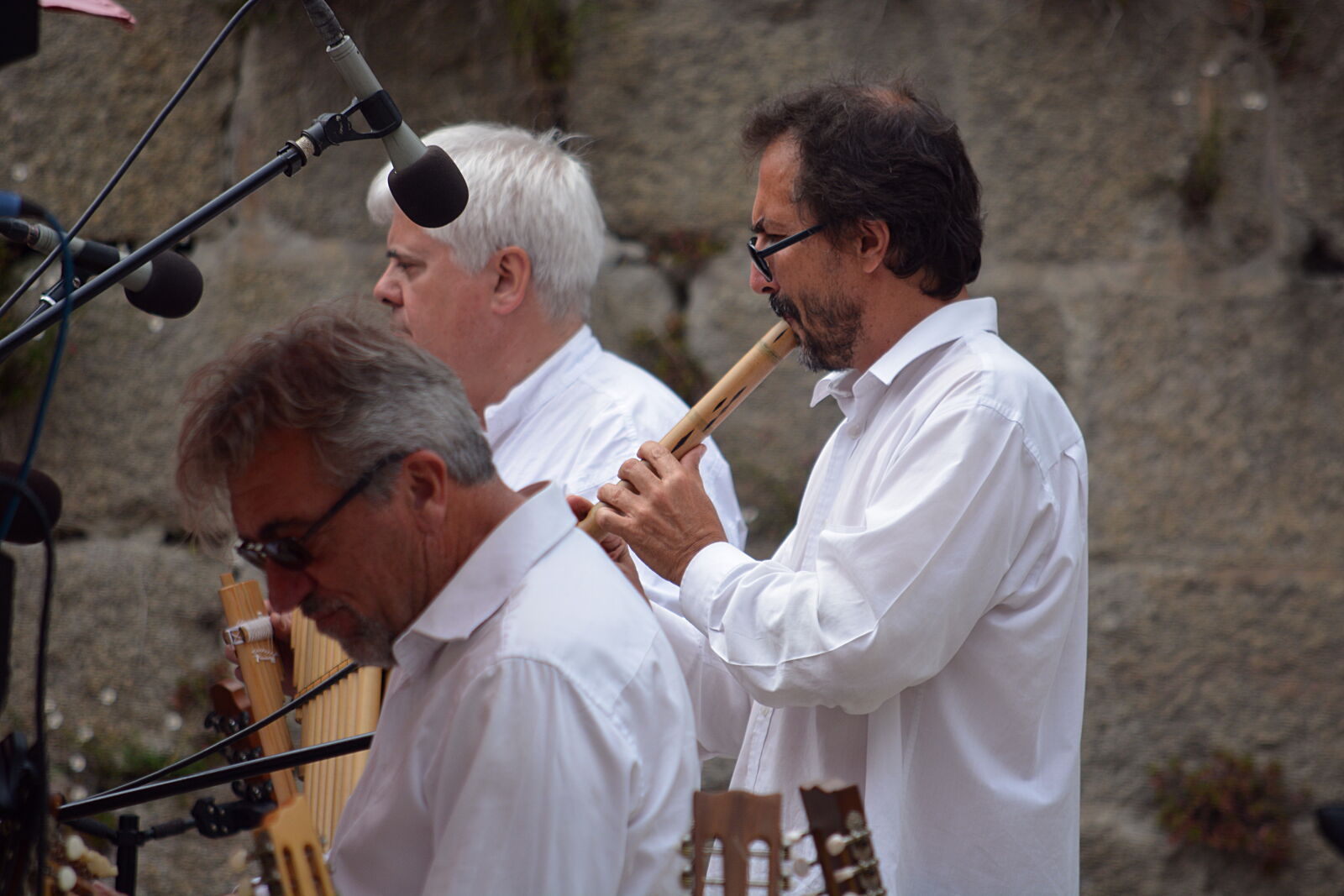 Nikon D5200 sample photo. Artistes, concert, flute, hommes photography