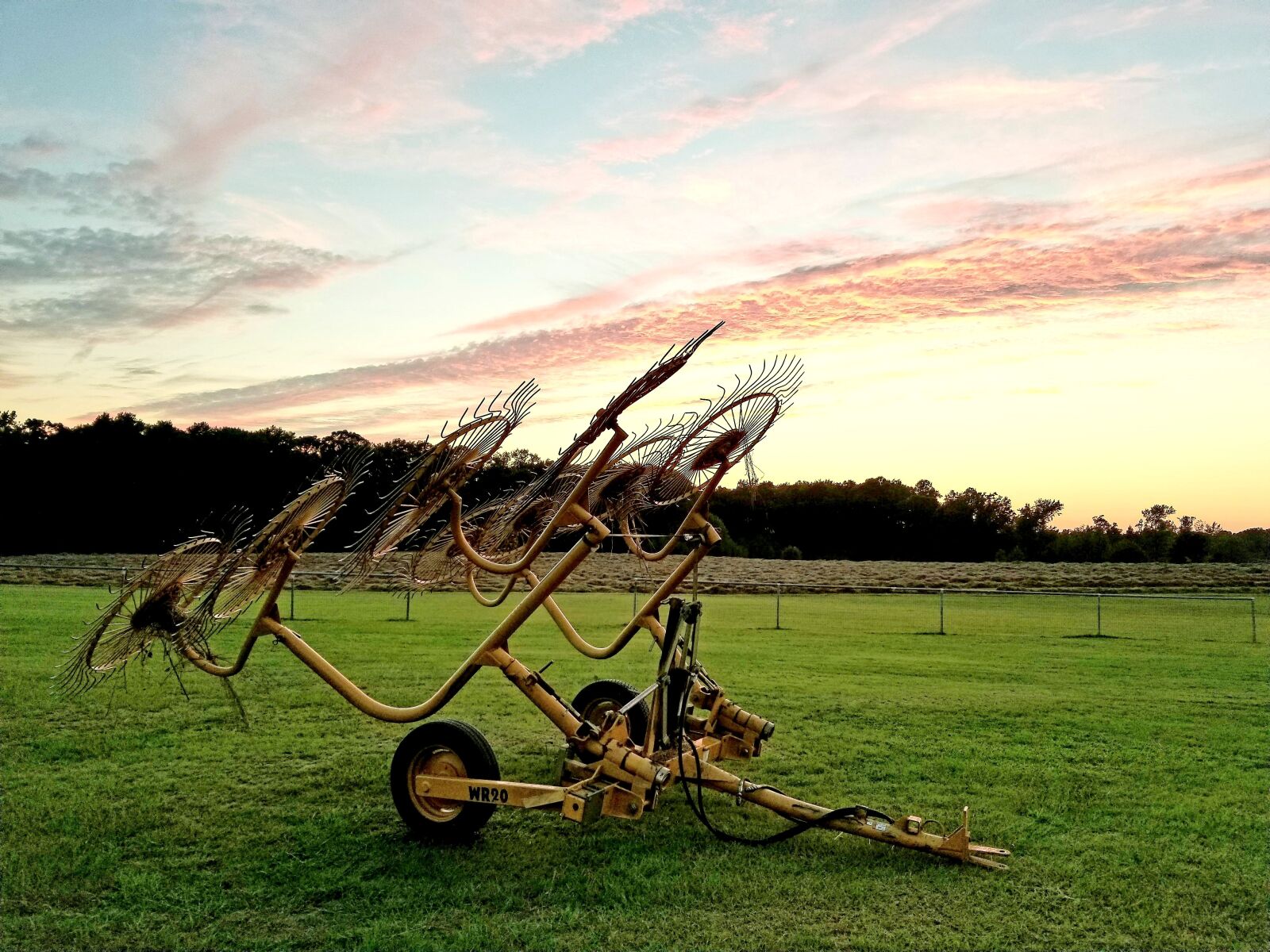 Samsung Galaxy S8+ sample photo. Field, grass, farm photography