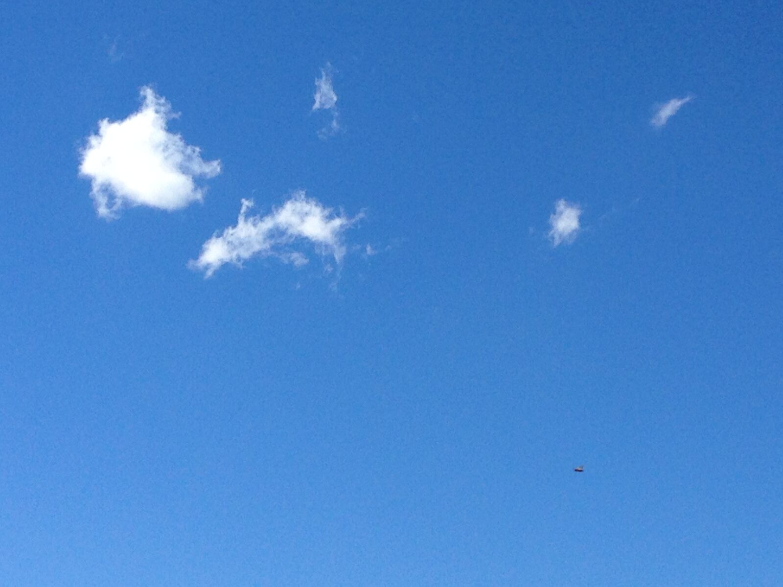 iPhone 5 back camera 4.12mm f/2.4 sample photo. Sky, blue, rest photography