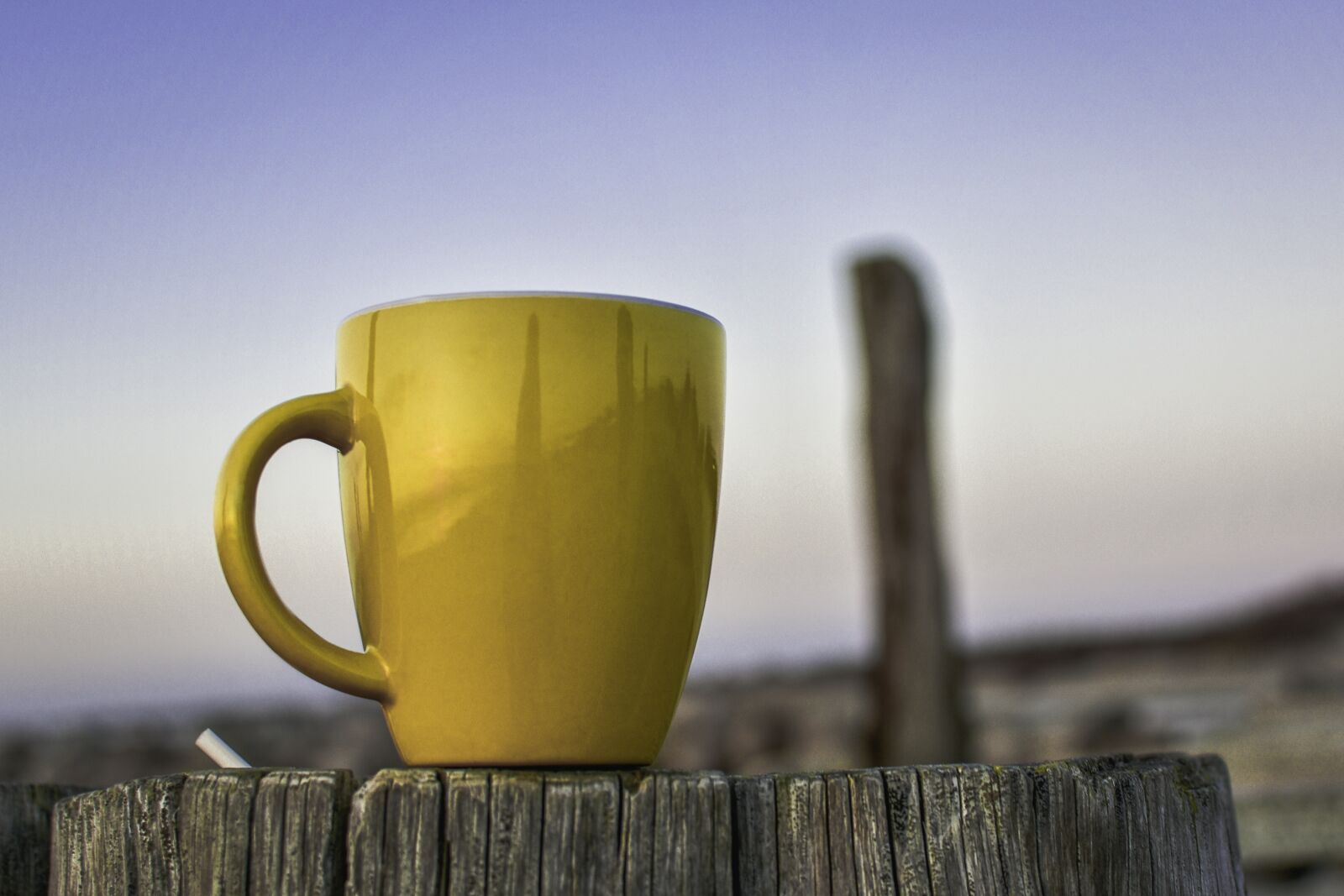 Nikon D7200 sample photo. Cup, yellow, beach photography