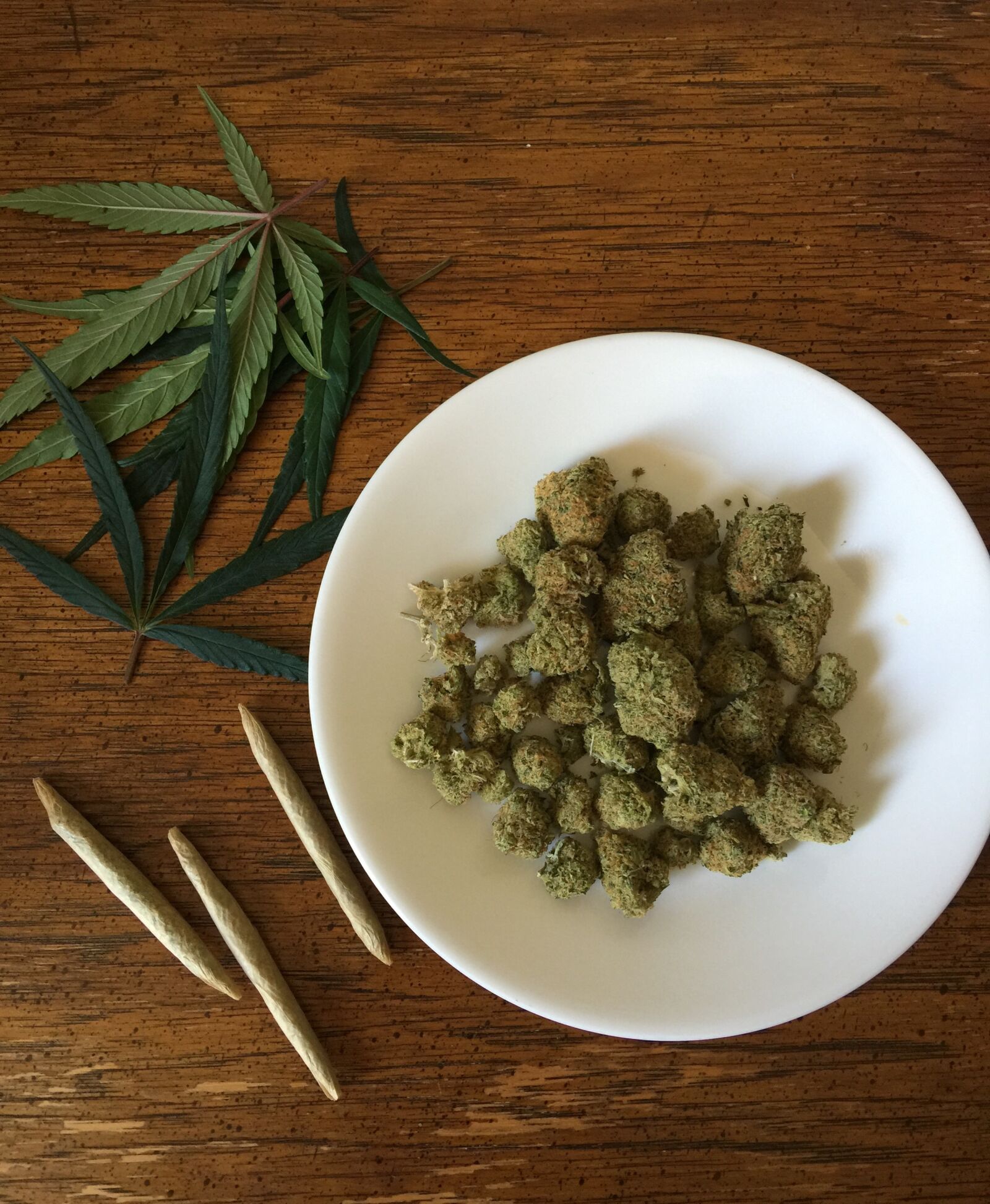 iPhone 6 Plus back camera 4.15mm f/2.2 sample photo. Cannabis, marijuana, weed photography