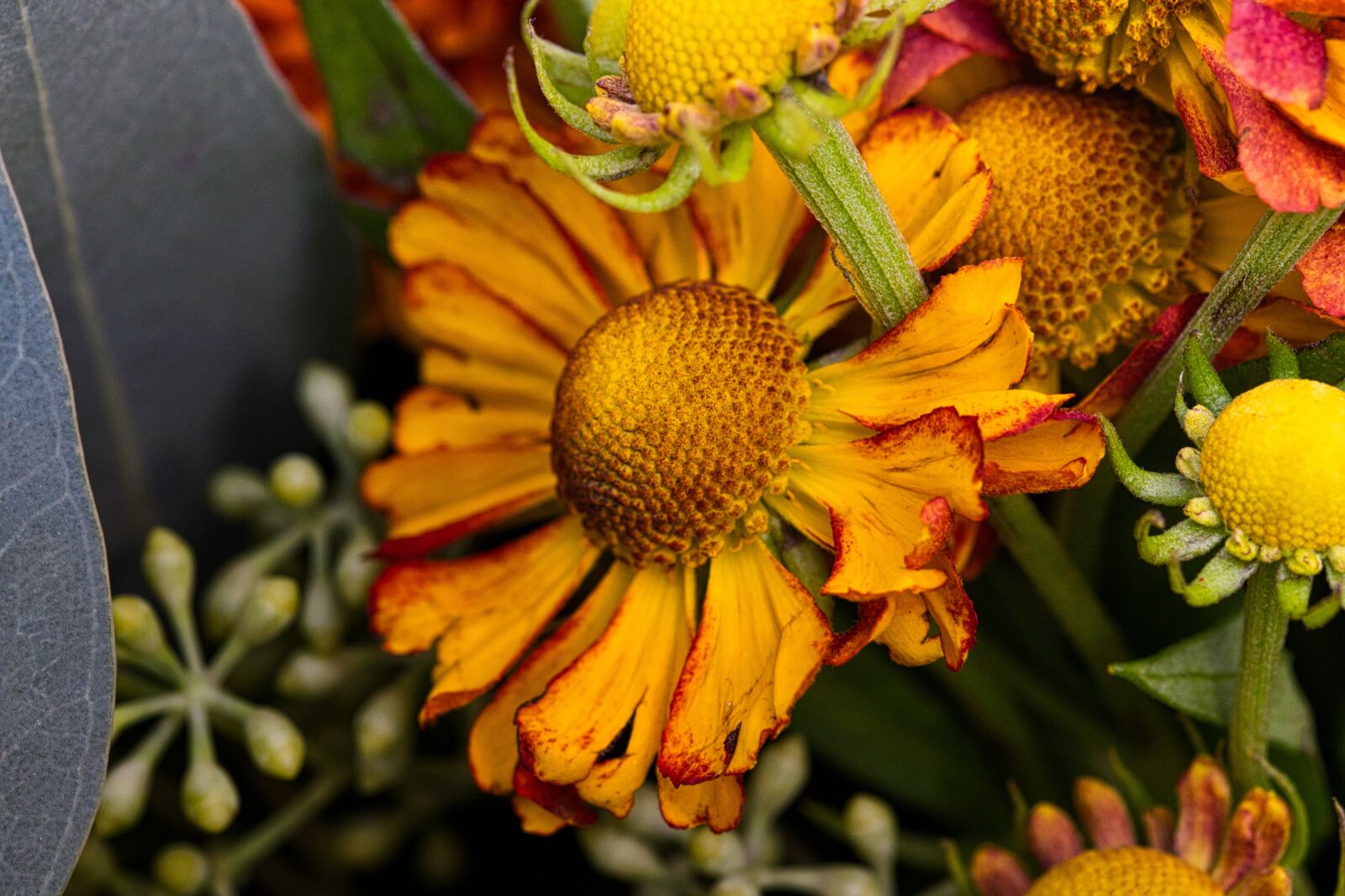 Canon EOS 200D (EOS Rebel SL2 / EOS Kiss X9) sample photo. Bouquet, summer flower, yellow photography
