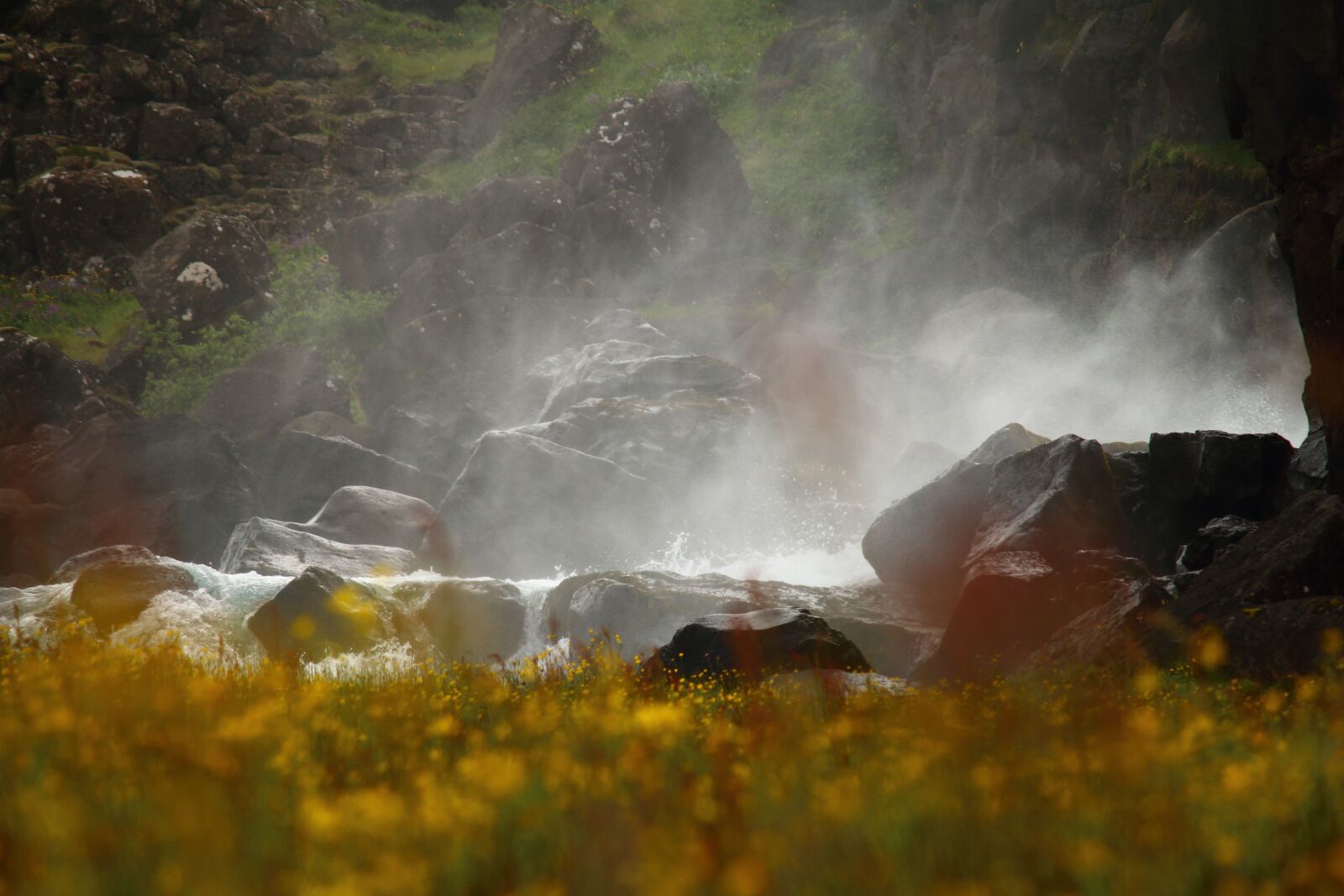 Canon EF-S 55-250mm F4-5.6 IS sample photo. Water mist, waterfall, flower photography