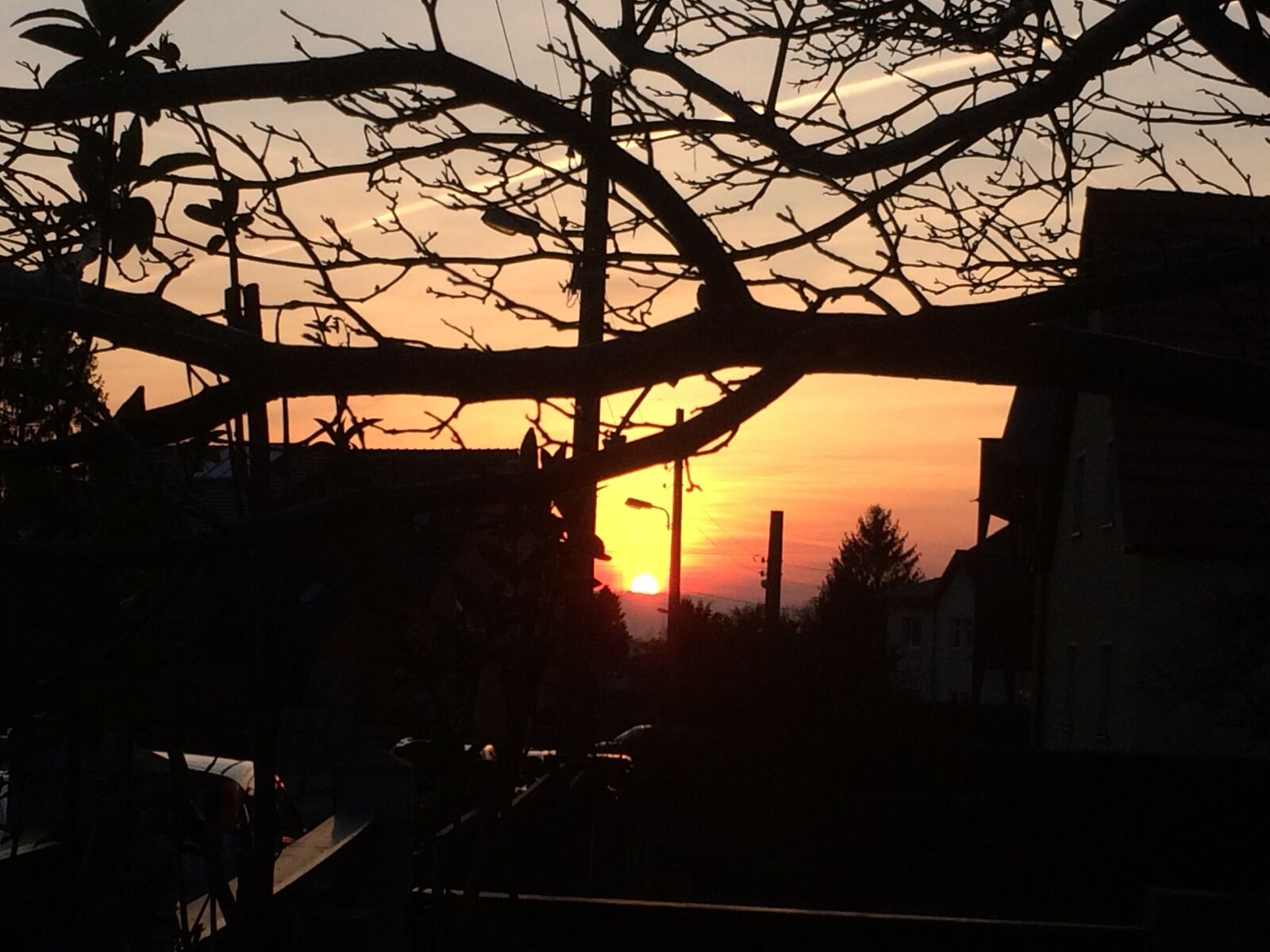 Apple iPhone 5s sample photo. Abendstimmung, farbenspiel, tree photography