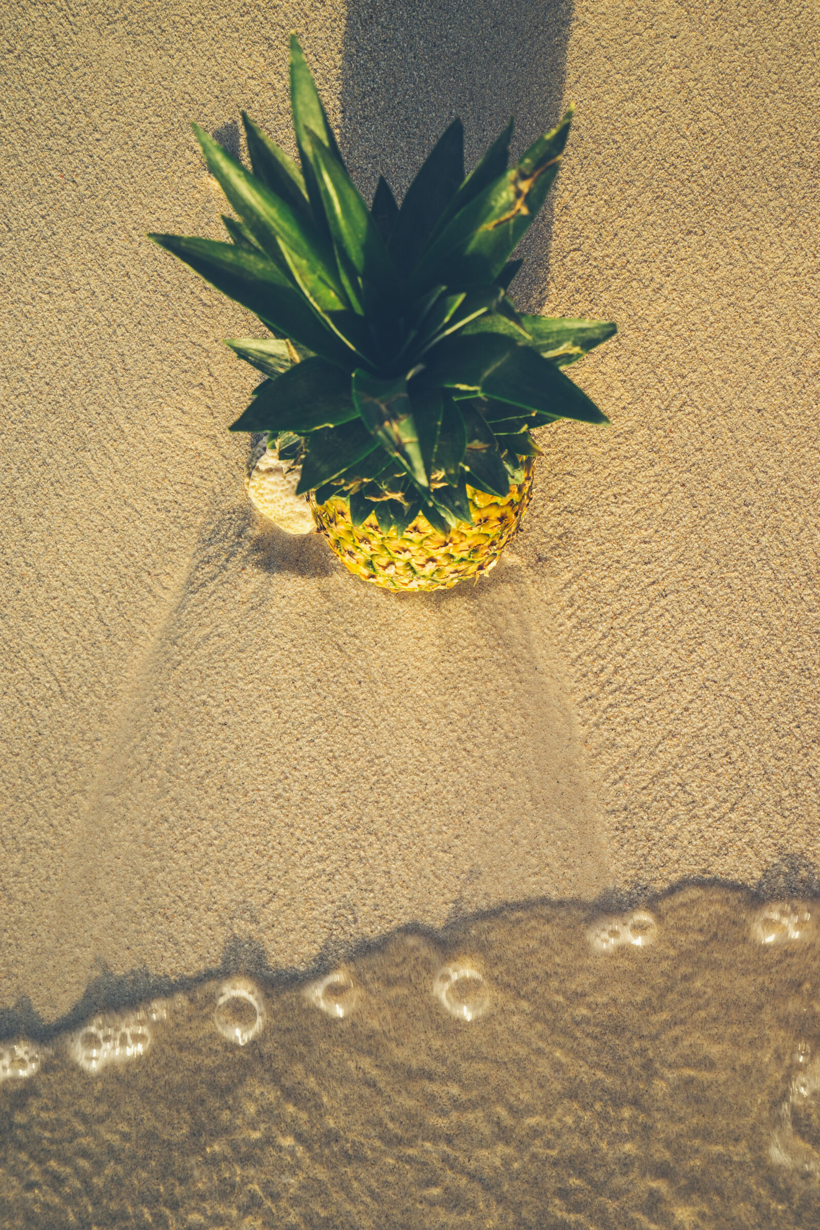 Sony a7 II + Sony Vario-Tessar T* FE 16-35mm F4 ZA OSS sample photo. Beach, food, fruit, pineapple photography