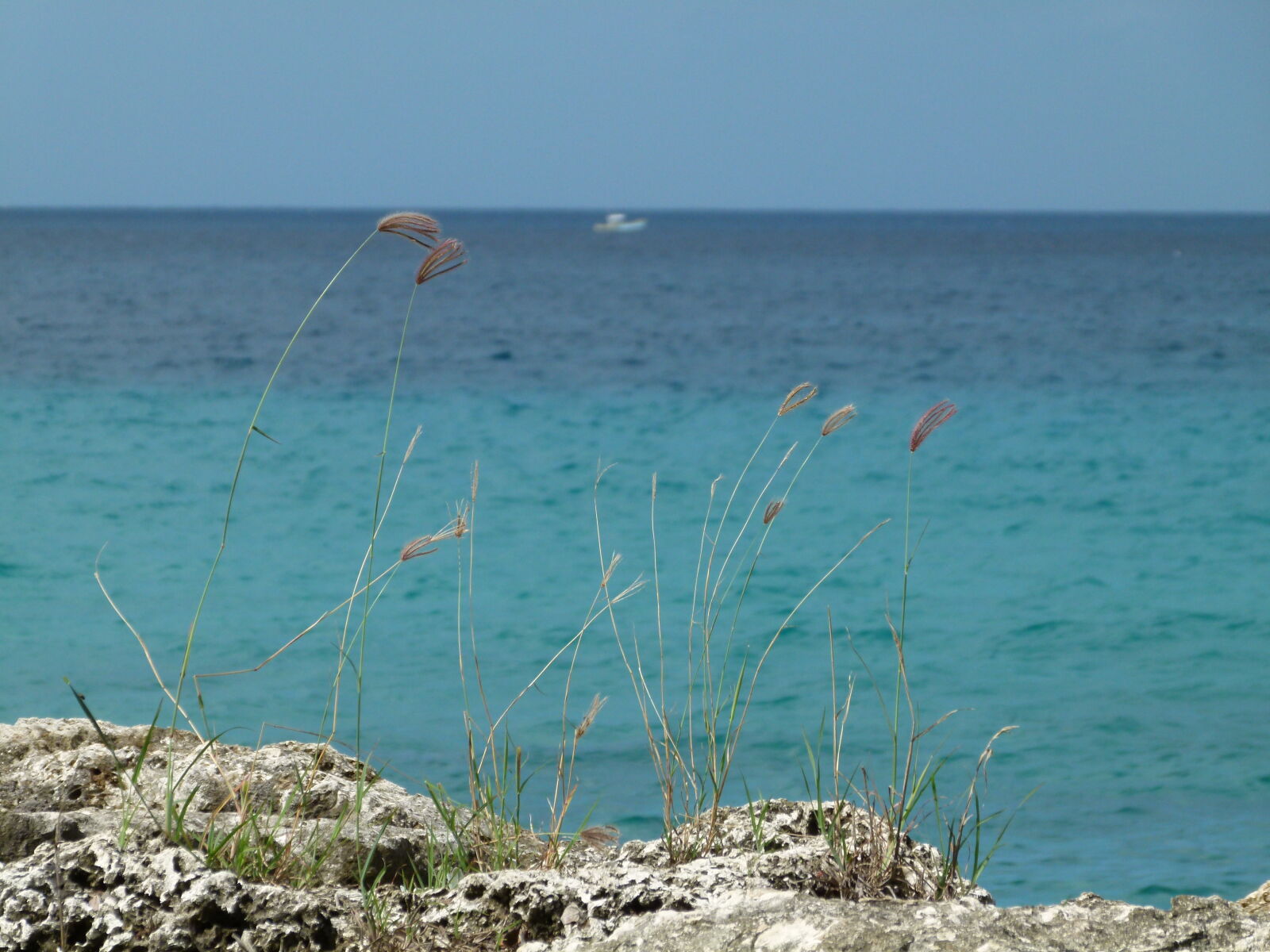 Leica V-Lux 2 sample photo. Coastal, landscape photography