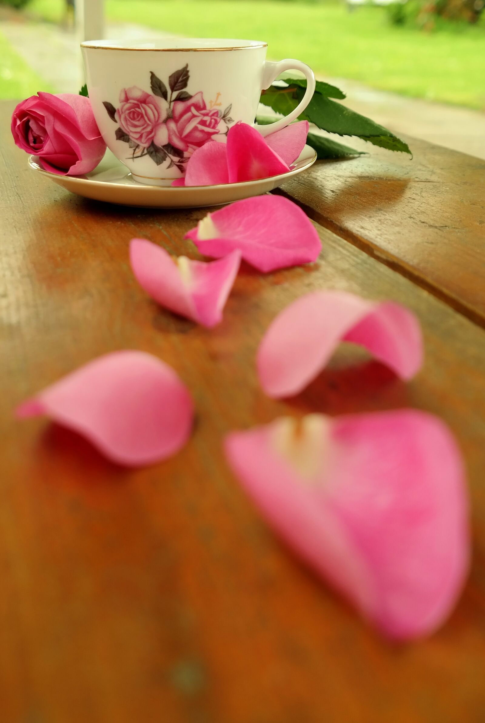 Samsung NX300M sample photo. Teacup, rose, blossom photography