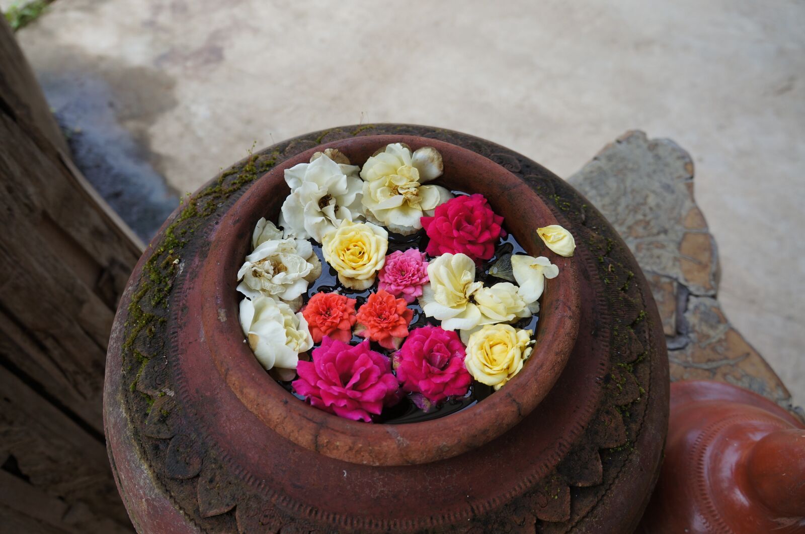 Sony Alpha NEX-5N sample photo. Pai, small fresh, flowers photography
