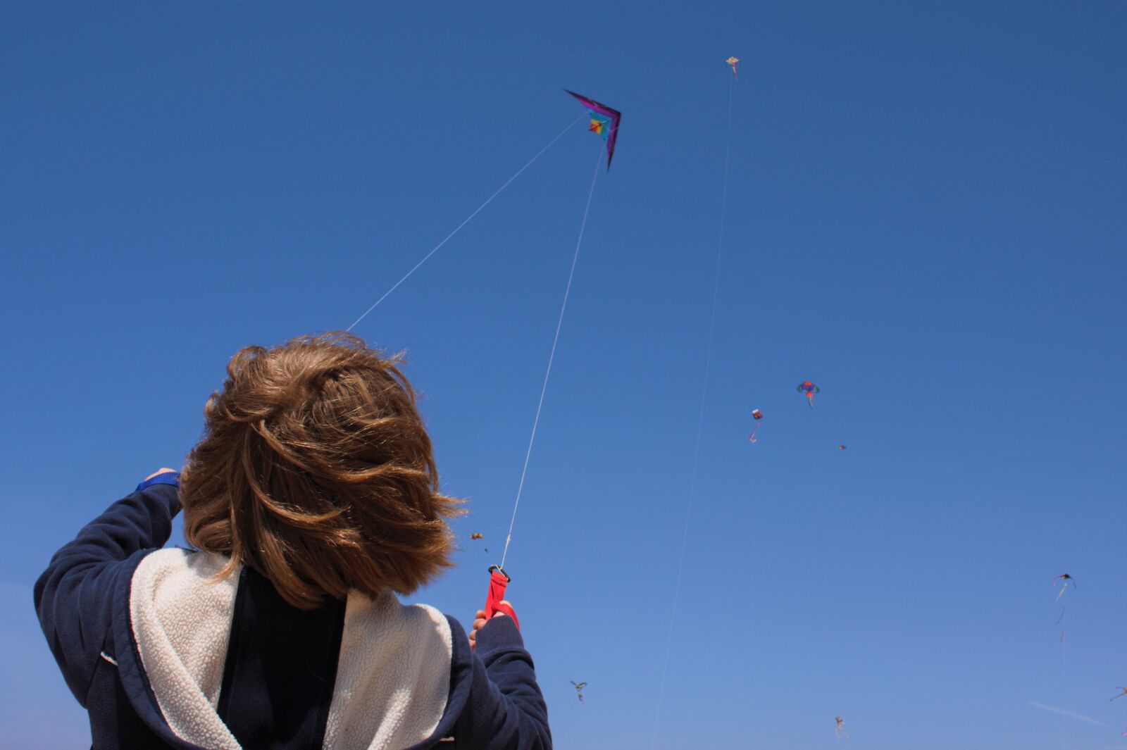 Canon EOS 500D (EOS Rebel T1i / EOS Kiss X3) sample photo. Kite, child, summer photography