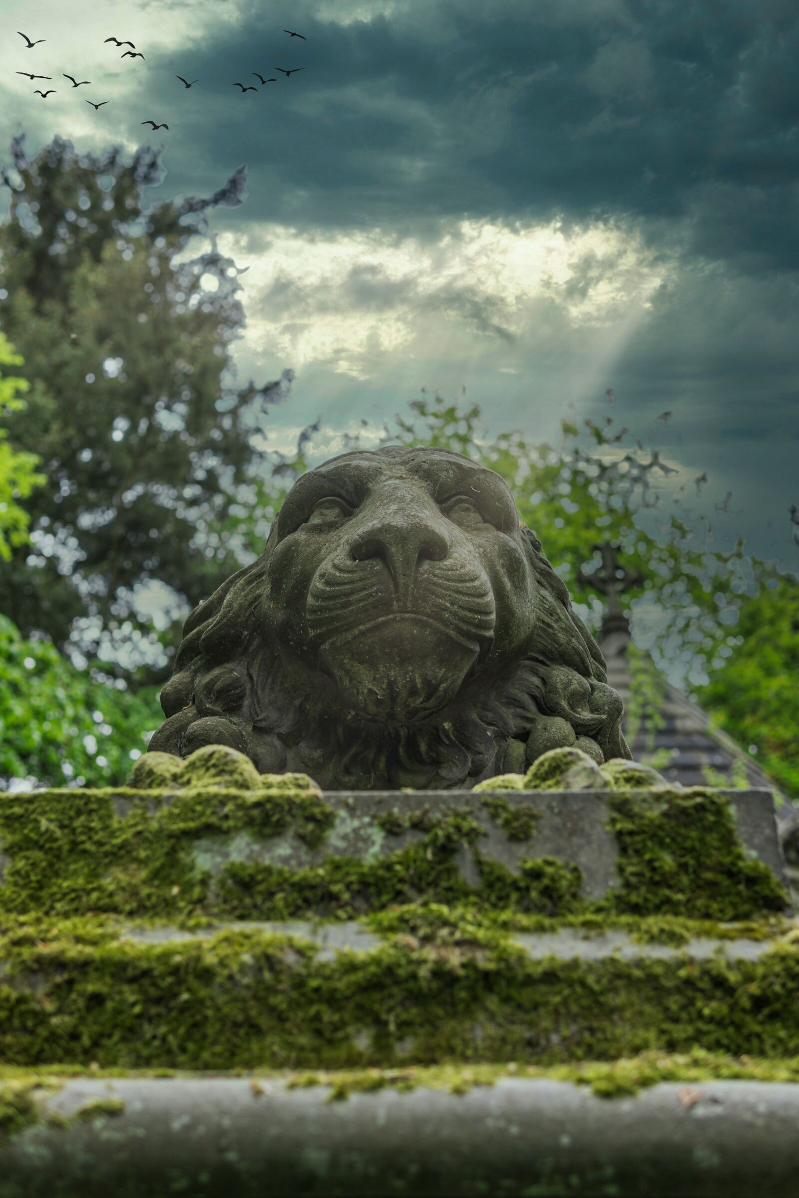 30mm F1.4 DC DN | Contemporary 016 sample photo. Lion, stone, statue photography