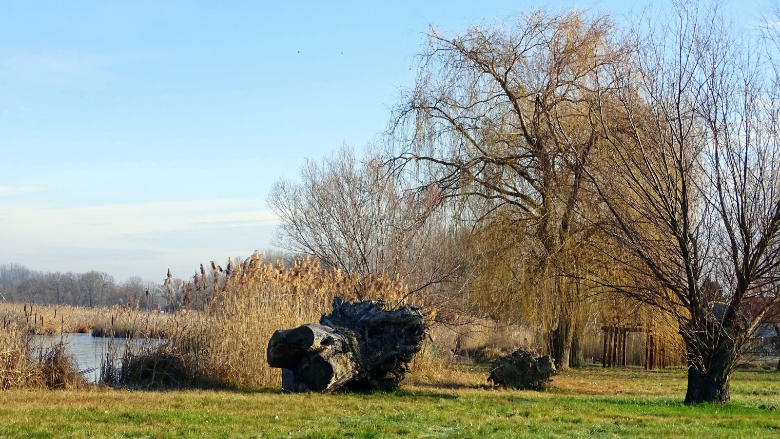 Sony Cyber-shot DSC-HX400V sample photo. River, winter, water photography