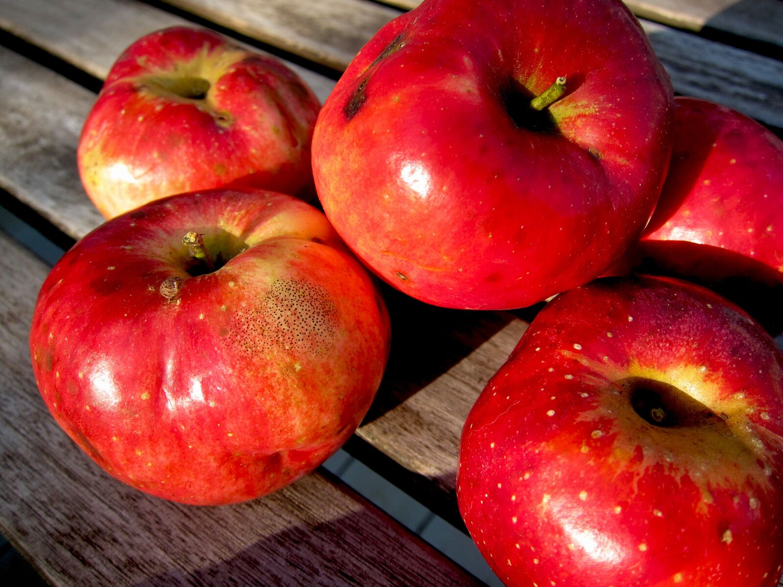 Canon PowerShot S95 sample photo. Red apples, red, apple photography