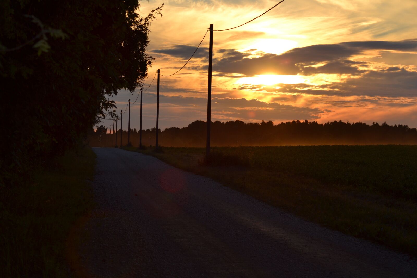 Nikon D3100 sample photo. Photography, wild, wildlife photography