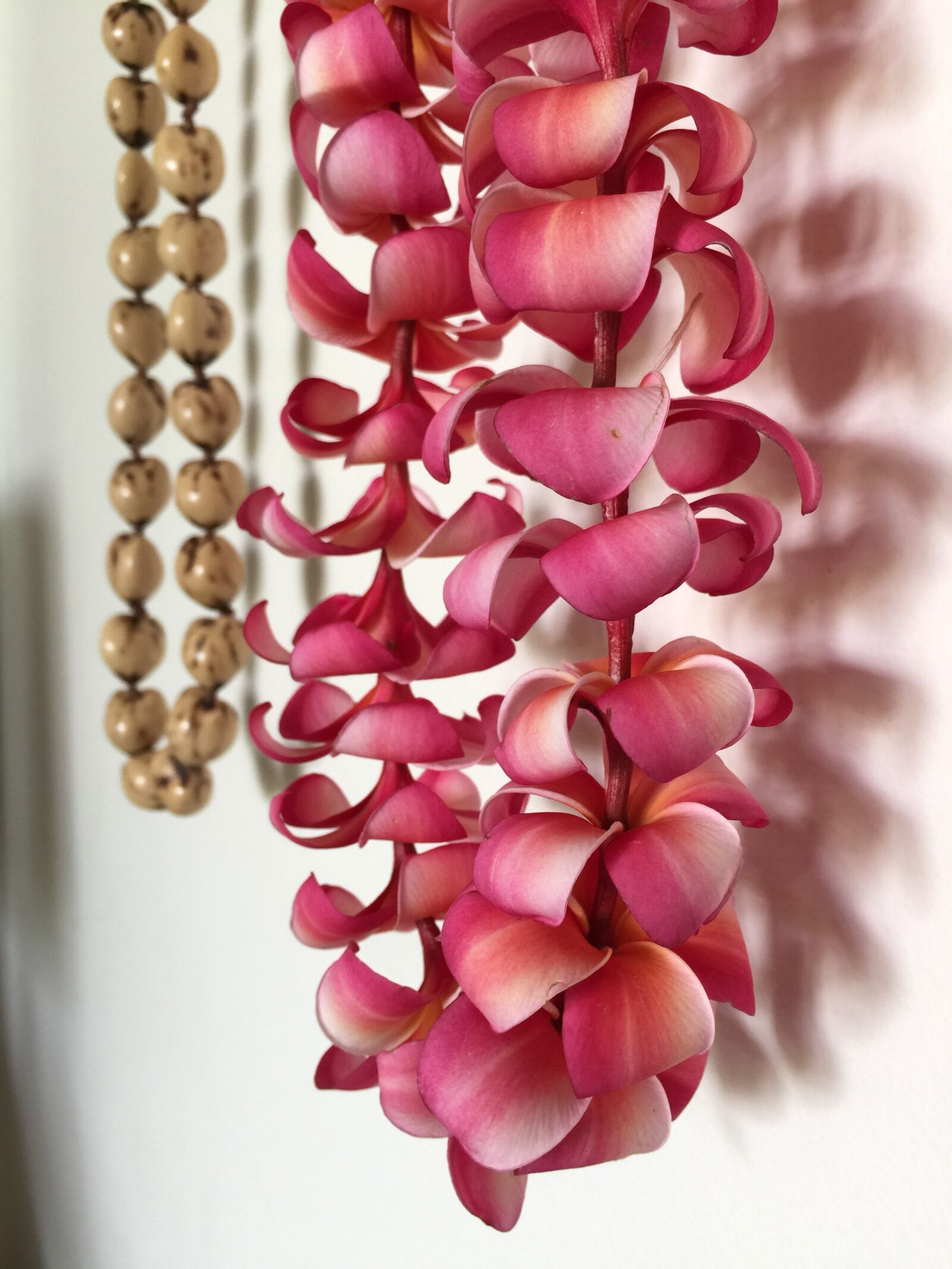 iPhone 6 Plus back camera 4.15mm f/2.2 sample photo. Lei, plumeria, hawaii photography