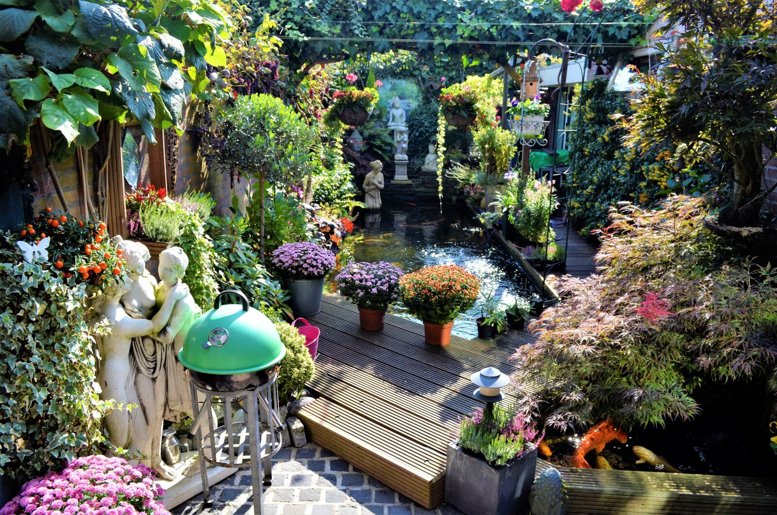 Nikon D5100 sample photo. Garden, plant, nature photography