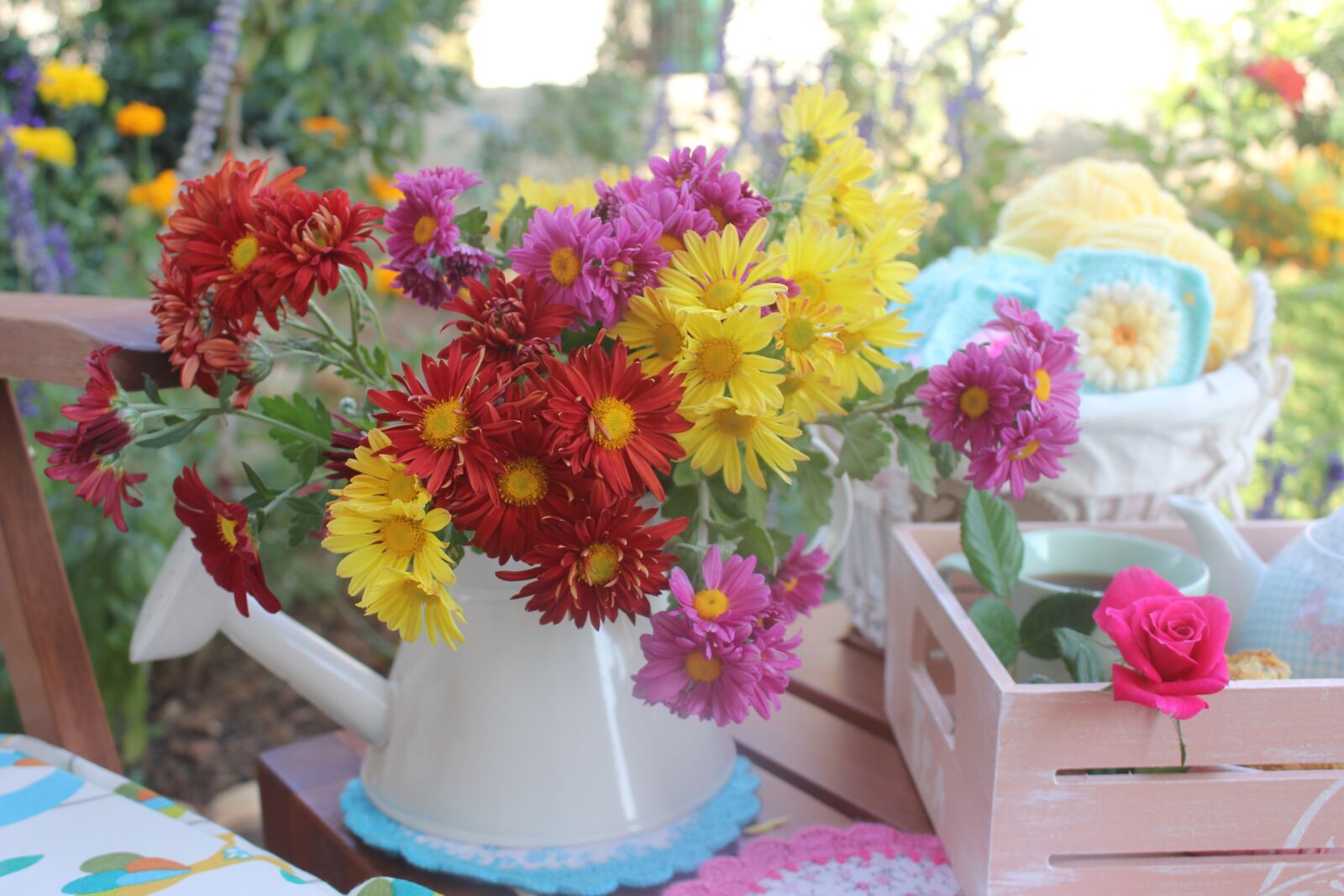 Canon EOS 550D (EOS Rebel T2i / EOS Kiss X4) sample photo. Flower, plant, nature photography
