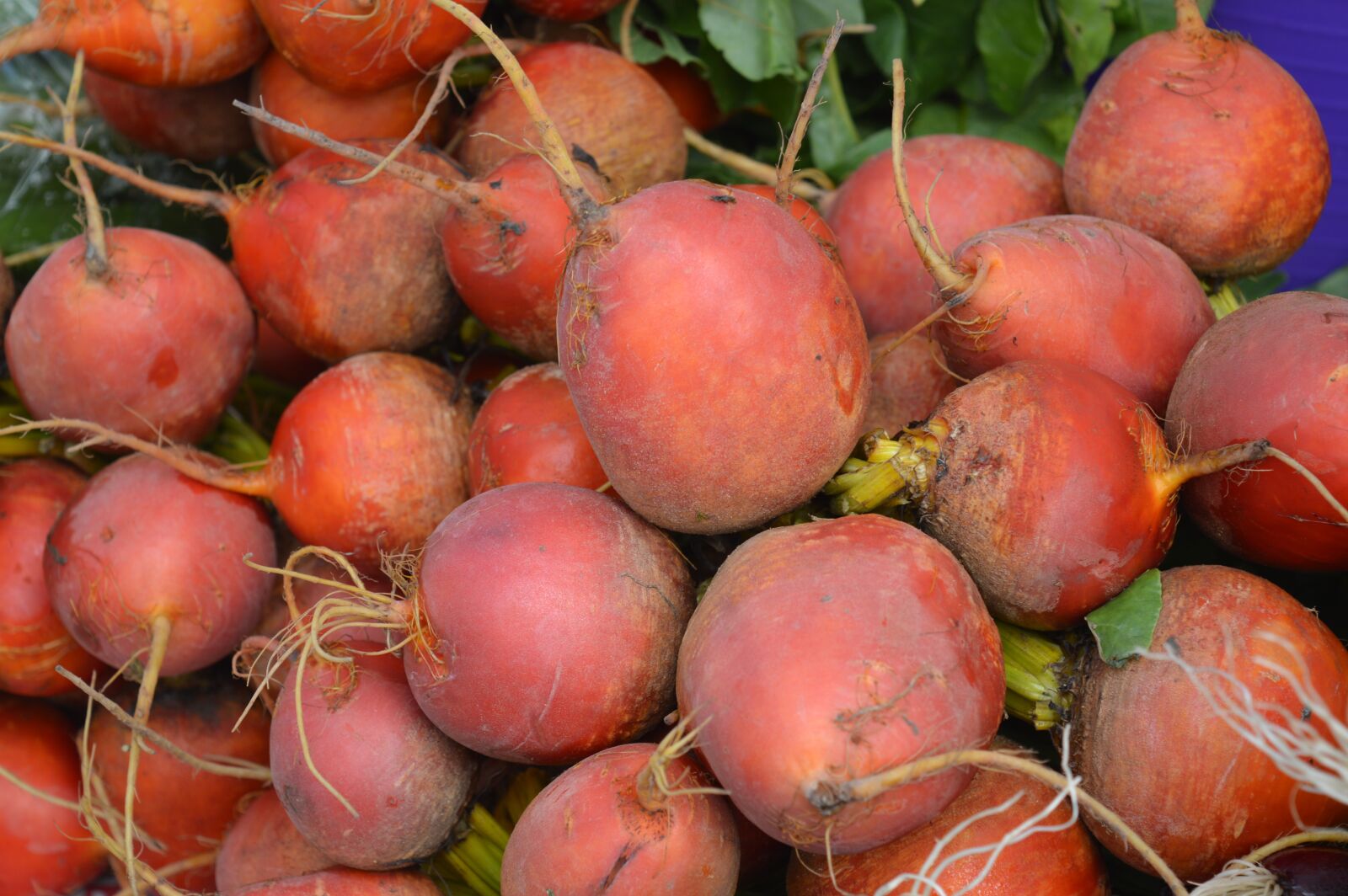 Nikon D3200 sample photo. Turnips, vegetables, market photography