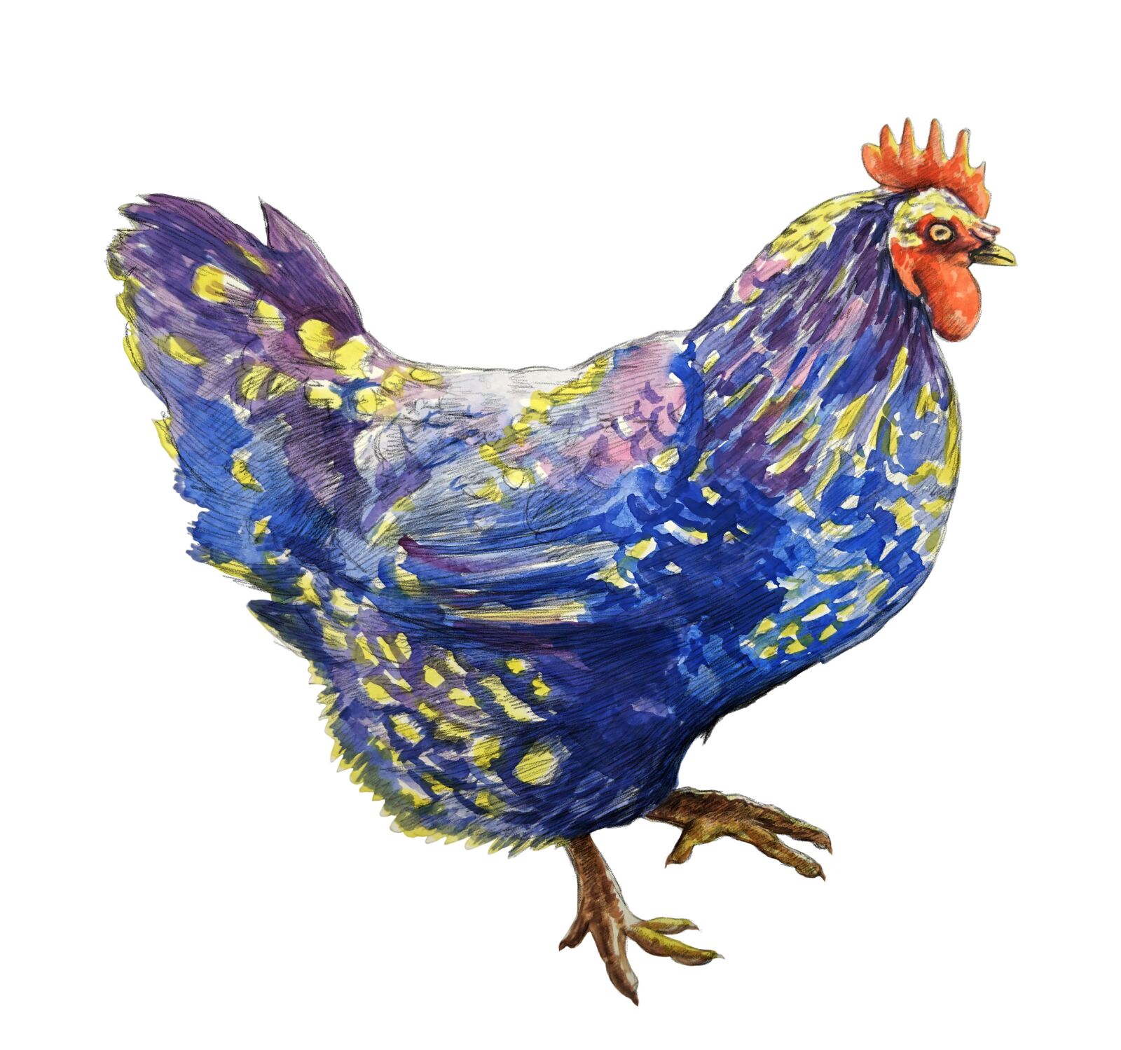 Sony Xperia Z5 Premium sample photo. Chicken, farm animal, animal photography