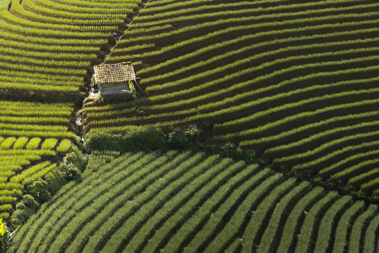 Nikon D850 sample photo. Landsc, view, rural photography