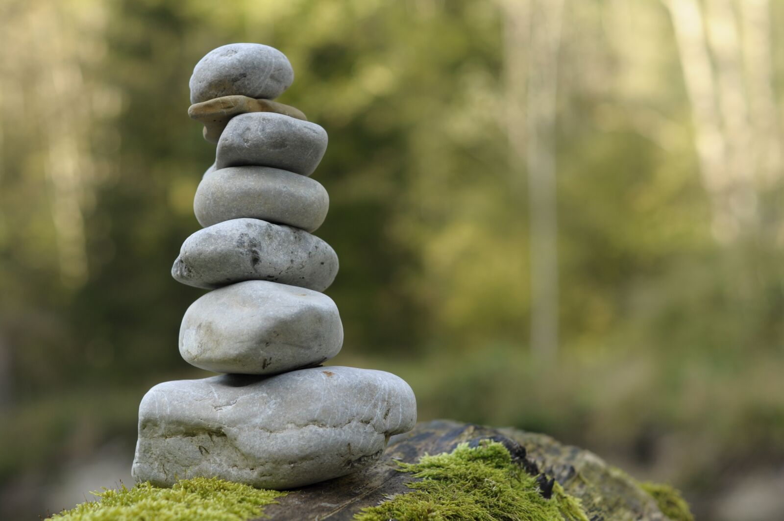 Nikon D90 sample photo. Stones, stone tower, cairn photography