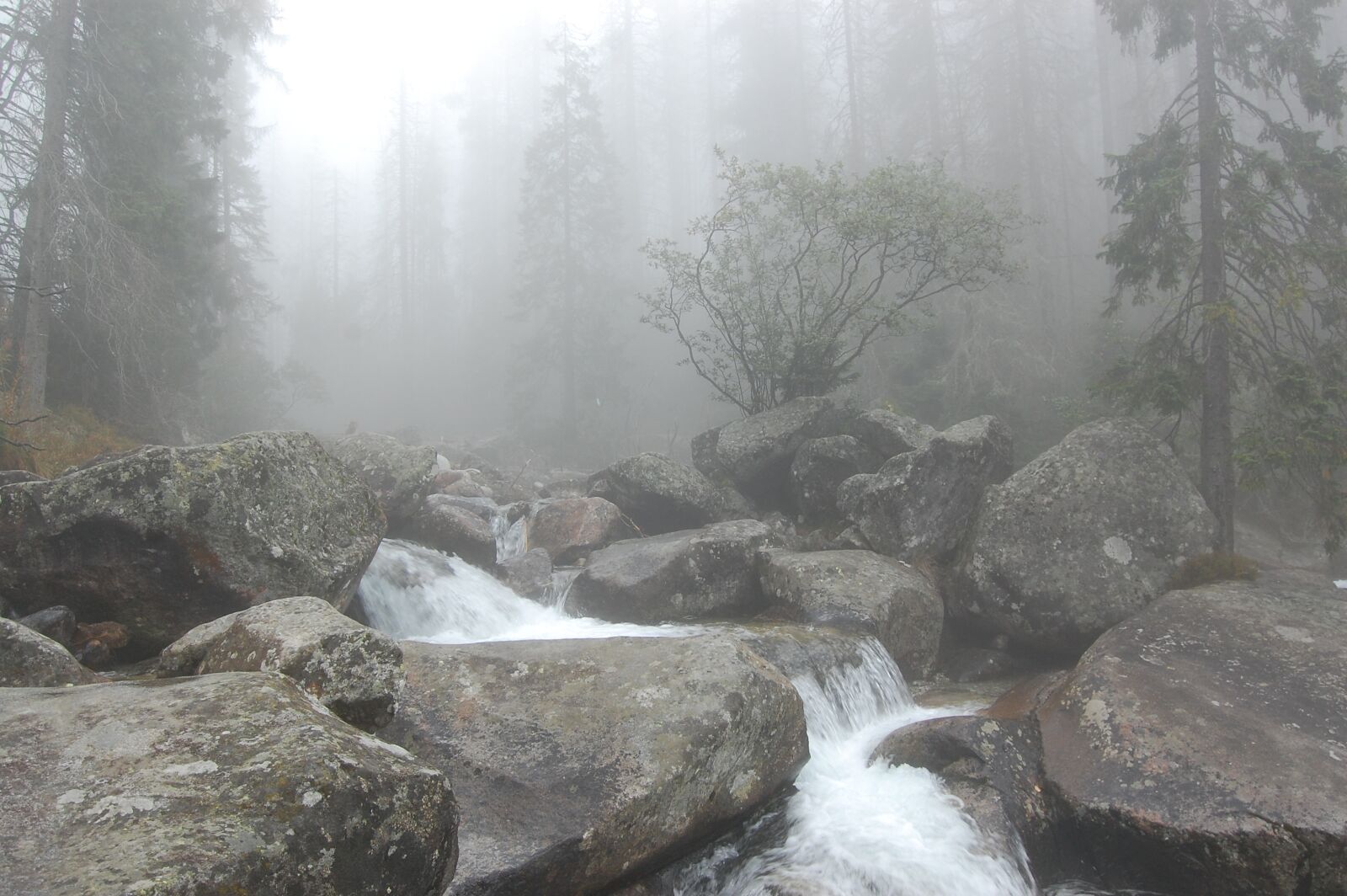 Nikon D40 sample photo. The fog, torrent, mountain photography