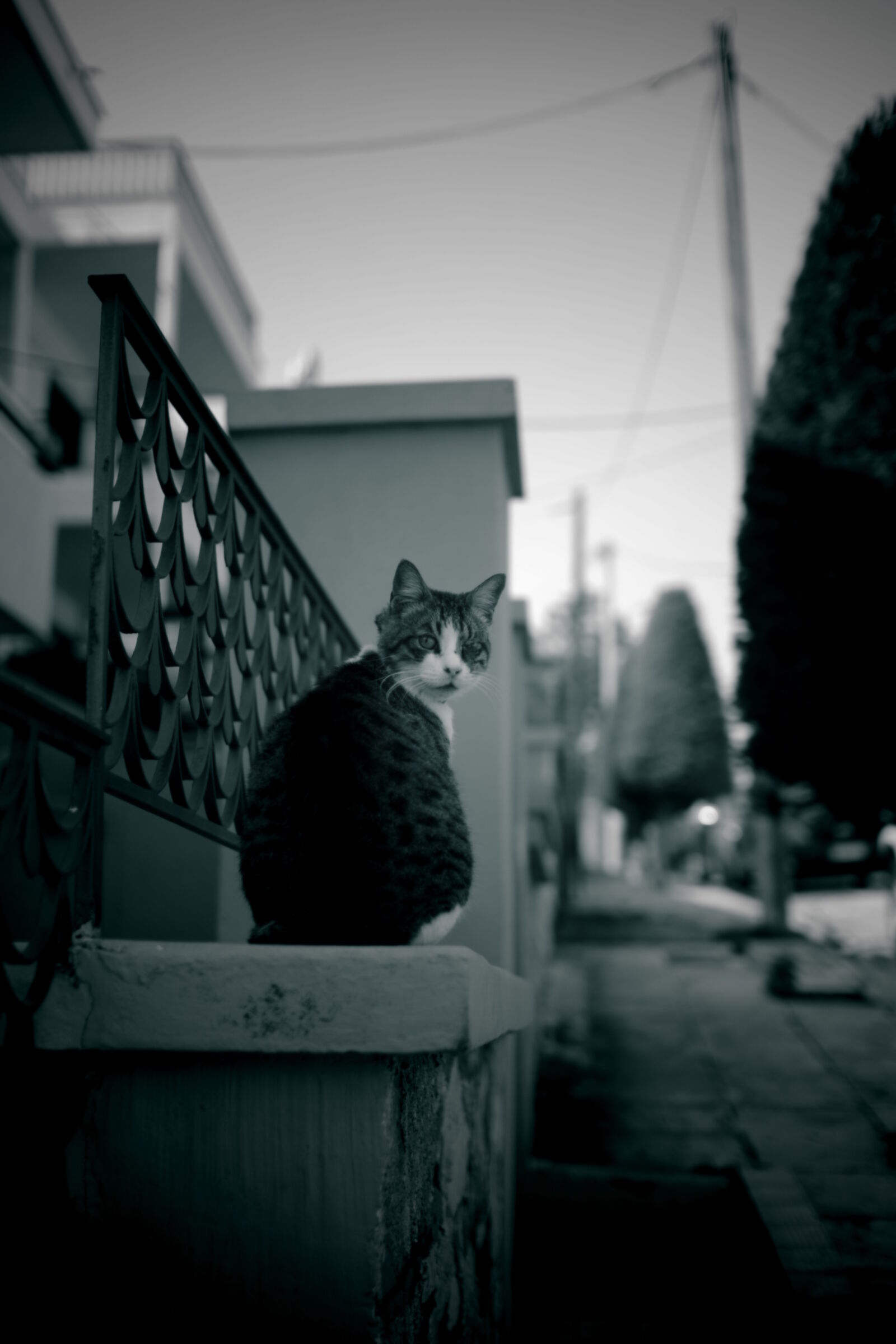 Pentax K-5 sample photo