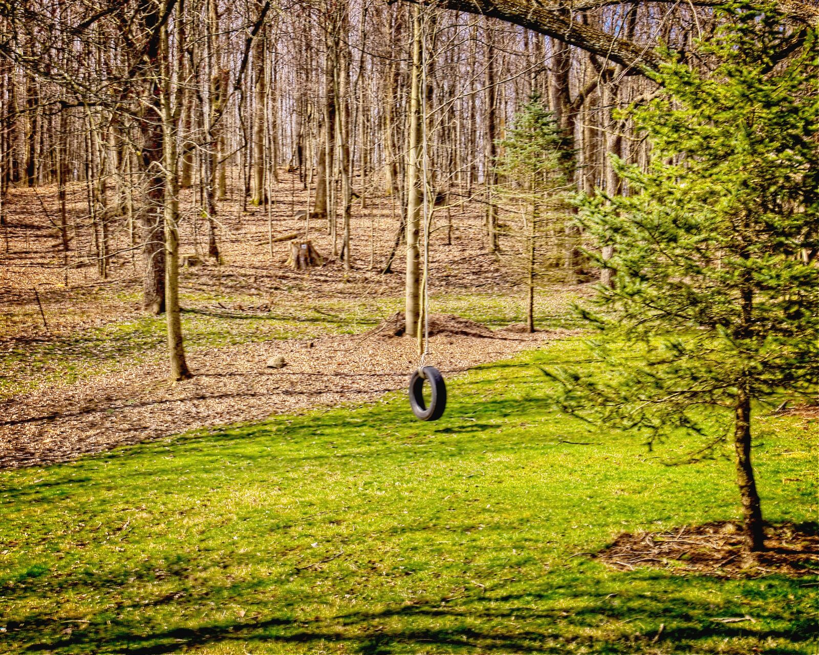 Canon EOS 5D Mark II sample photo. Tire, tire swing, scenery photography
