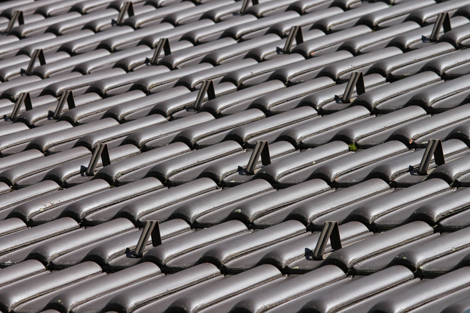 Canon EOS 1100D (EOS Rebel T3 / EOS Kiss X50) sample photo. Roof tiles, roof, covered photography