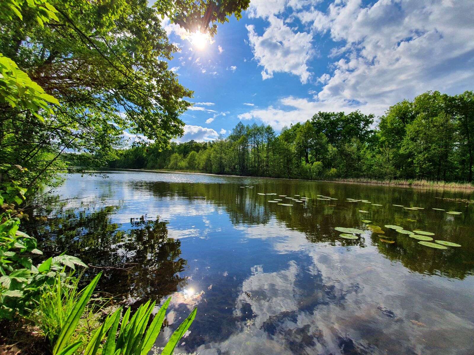 Samsung Galaxy S10 sample photo. Nature, river, water photography