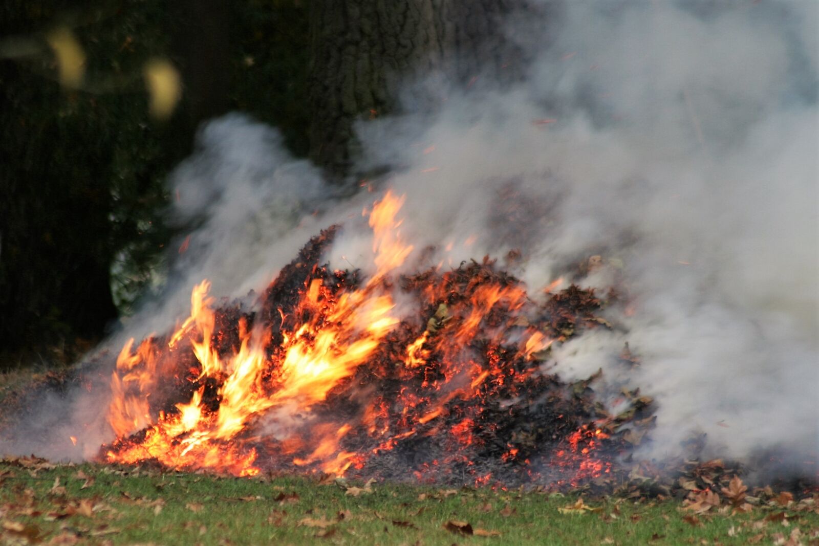 Canon EOS 350D (EOS Digital Rebel XT / EOS Kiss Digital N) sample photo. Fire, smoke, bonfire photography