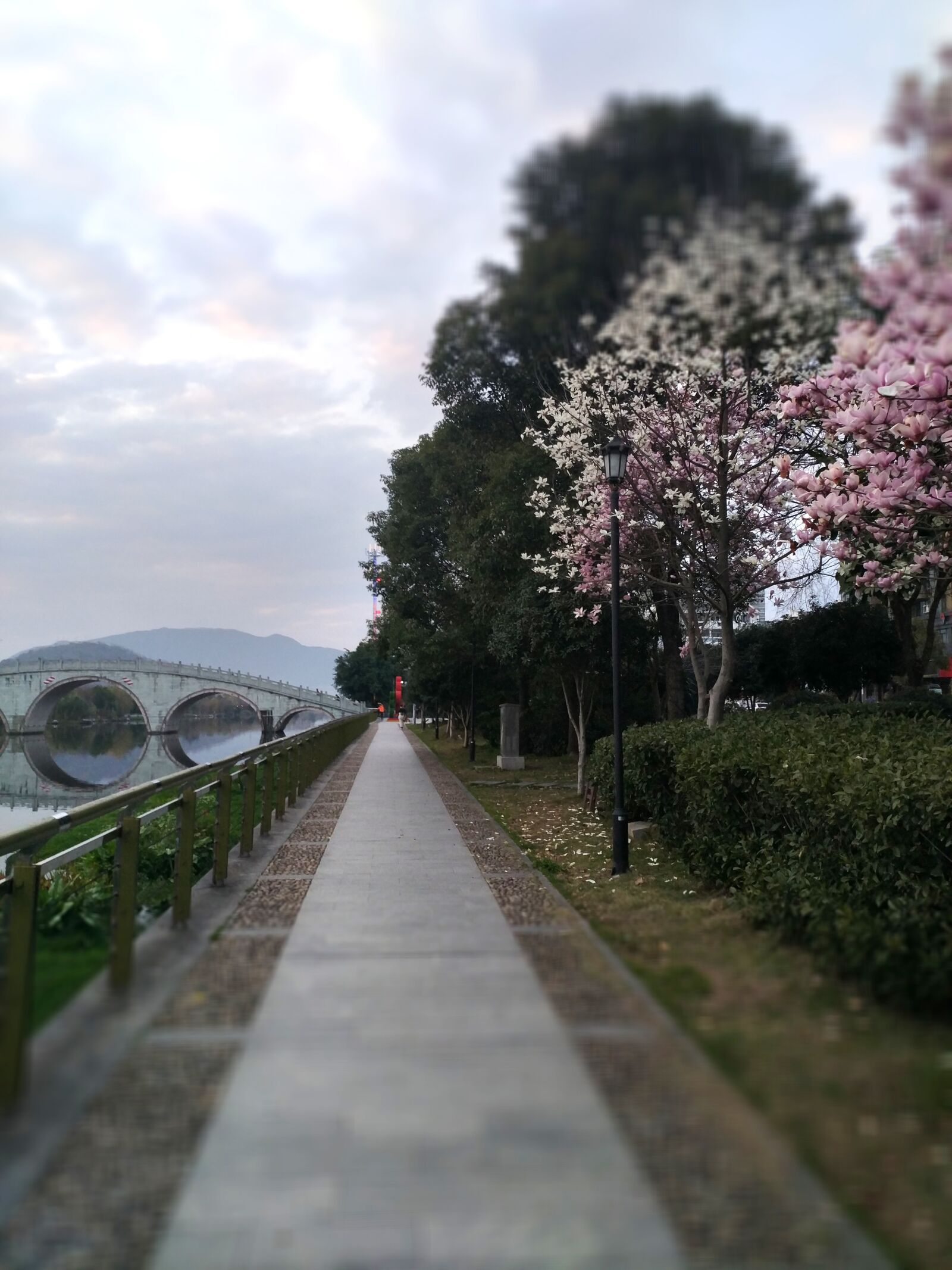 Xiaomi MI 5s Plus sample photo. Road, park, bridge photography