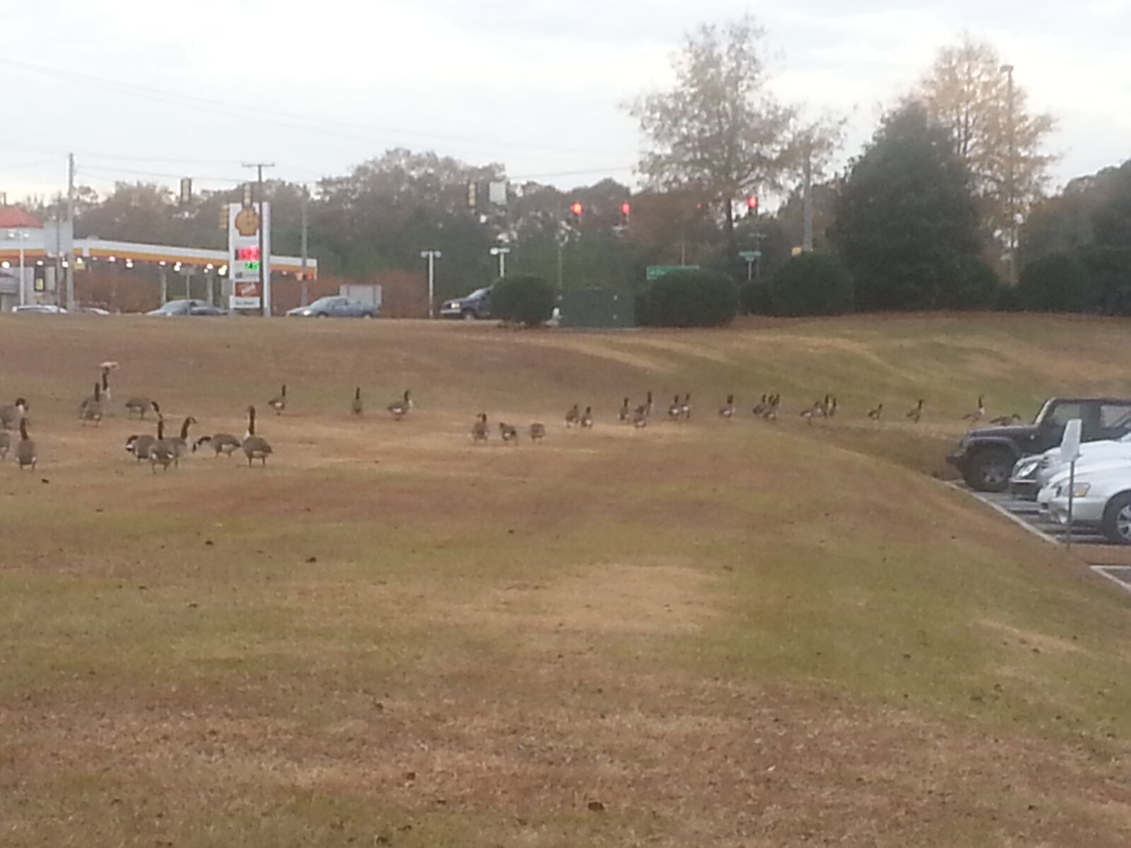Samsung Galaxy Note2 sample photo