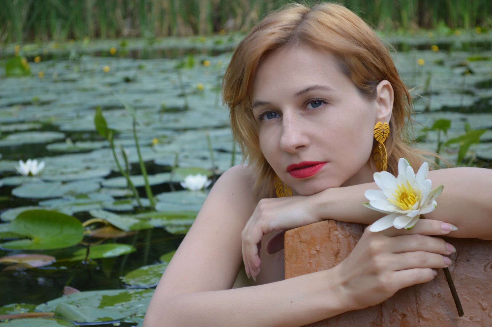 Nikon D3200 sample photo. Lotus, water lily, lily photography