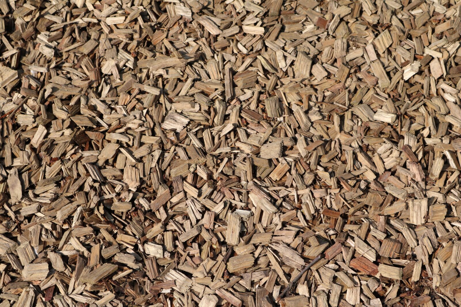 Canon EOS 750D (EOS Rebel T6i / EOS Kiss X8i) sample photo. Landscape format, background, wood photography