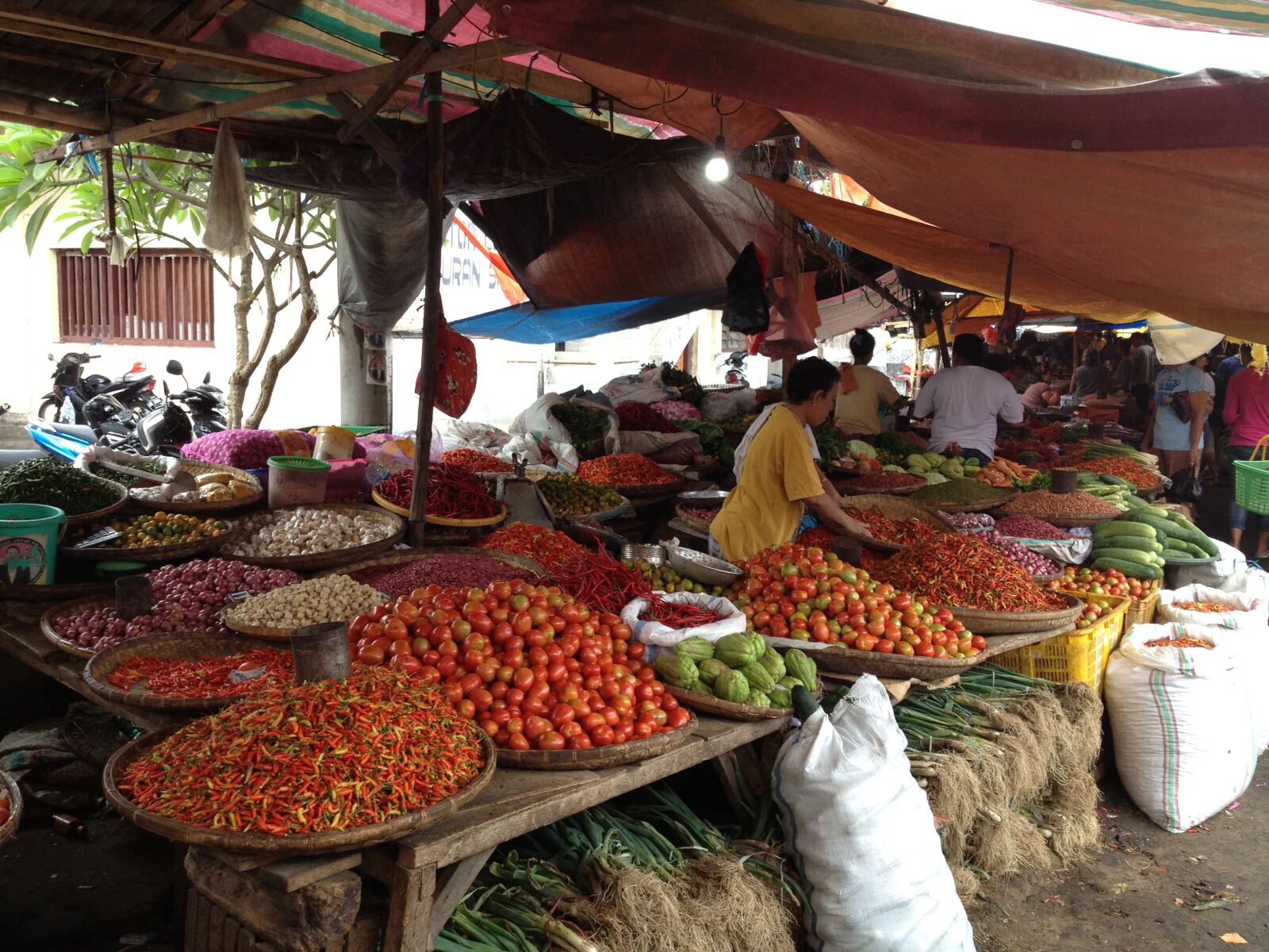Apple iPhone 4S sample photo. Amurang, indonesia, sulawesi photography