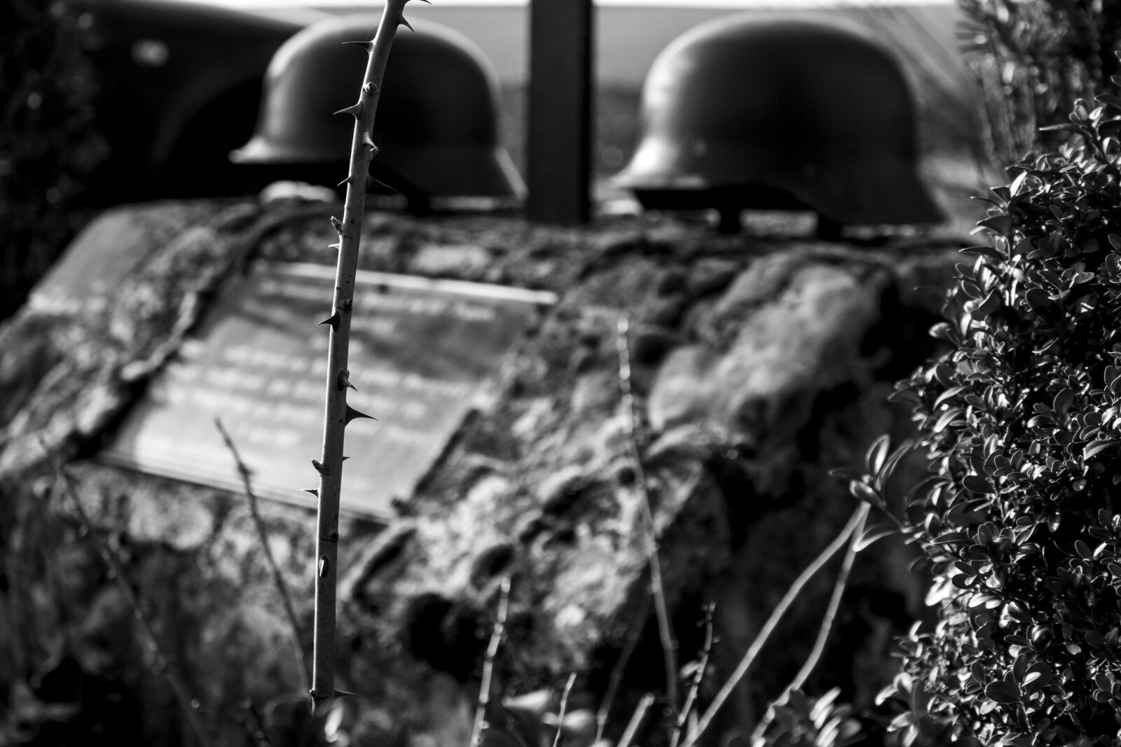 Canon EOS 700D (EOS Rebel T5i / EOS Kiss X7i) sample photo. Nature, human, war photography