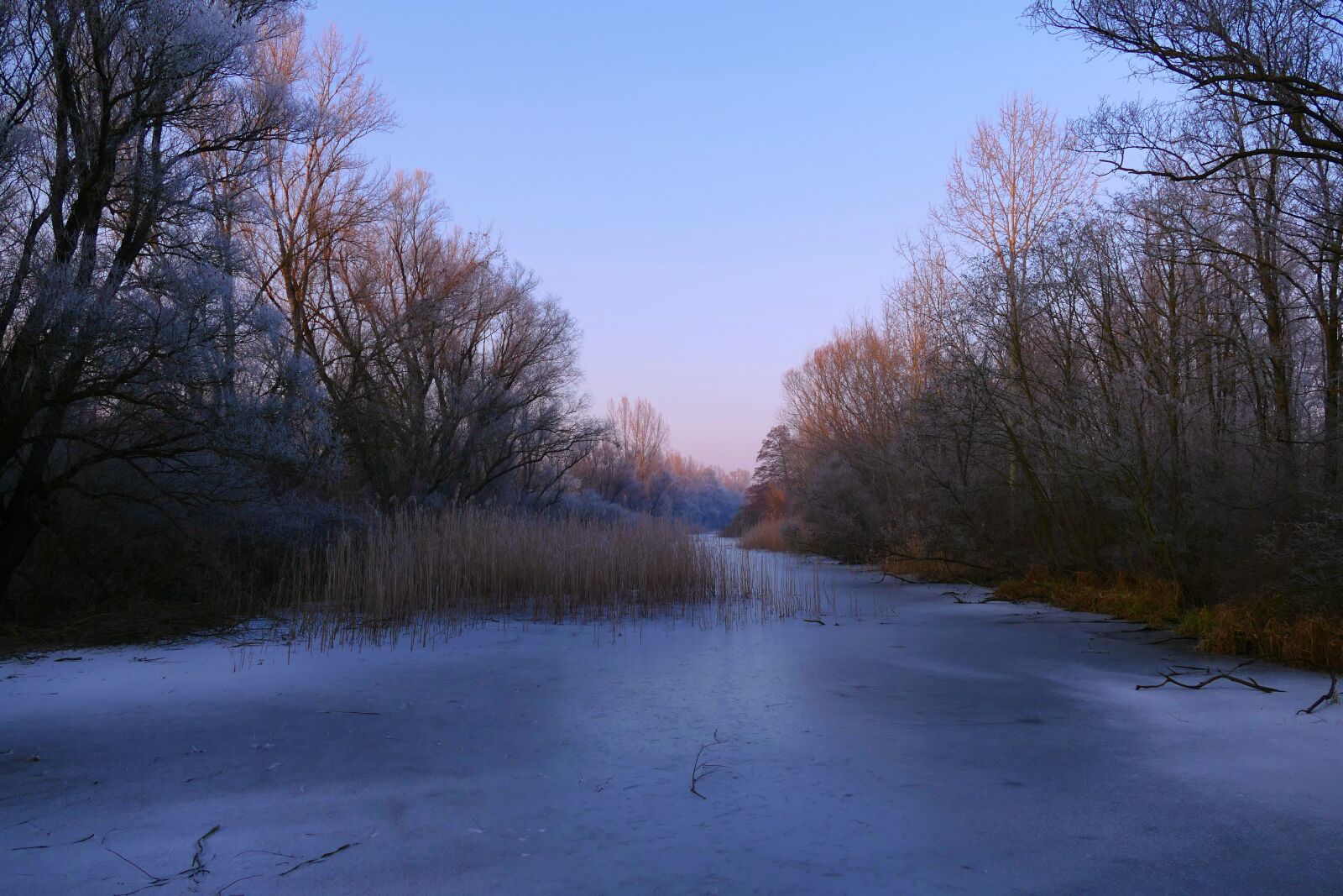 Panasonic Lumix DMC-FZ1000 sample photo. Nature, country, frozen photography