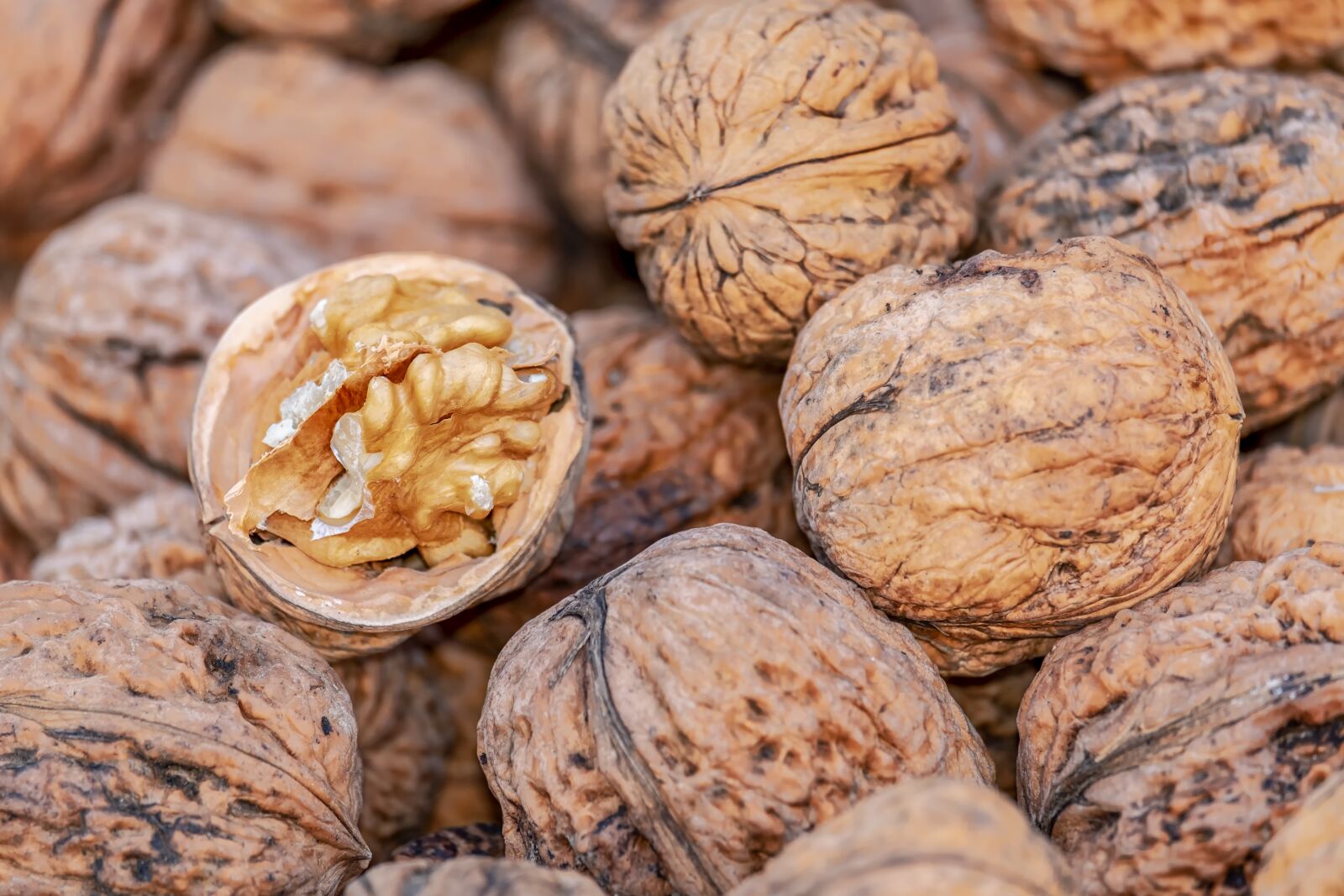 Fujifilm XF 55-200mm F3.5-4.8 R LM OIS sample photo. Nuts, walnuts, fruit bowl photography